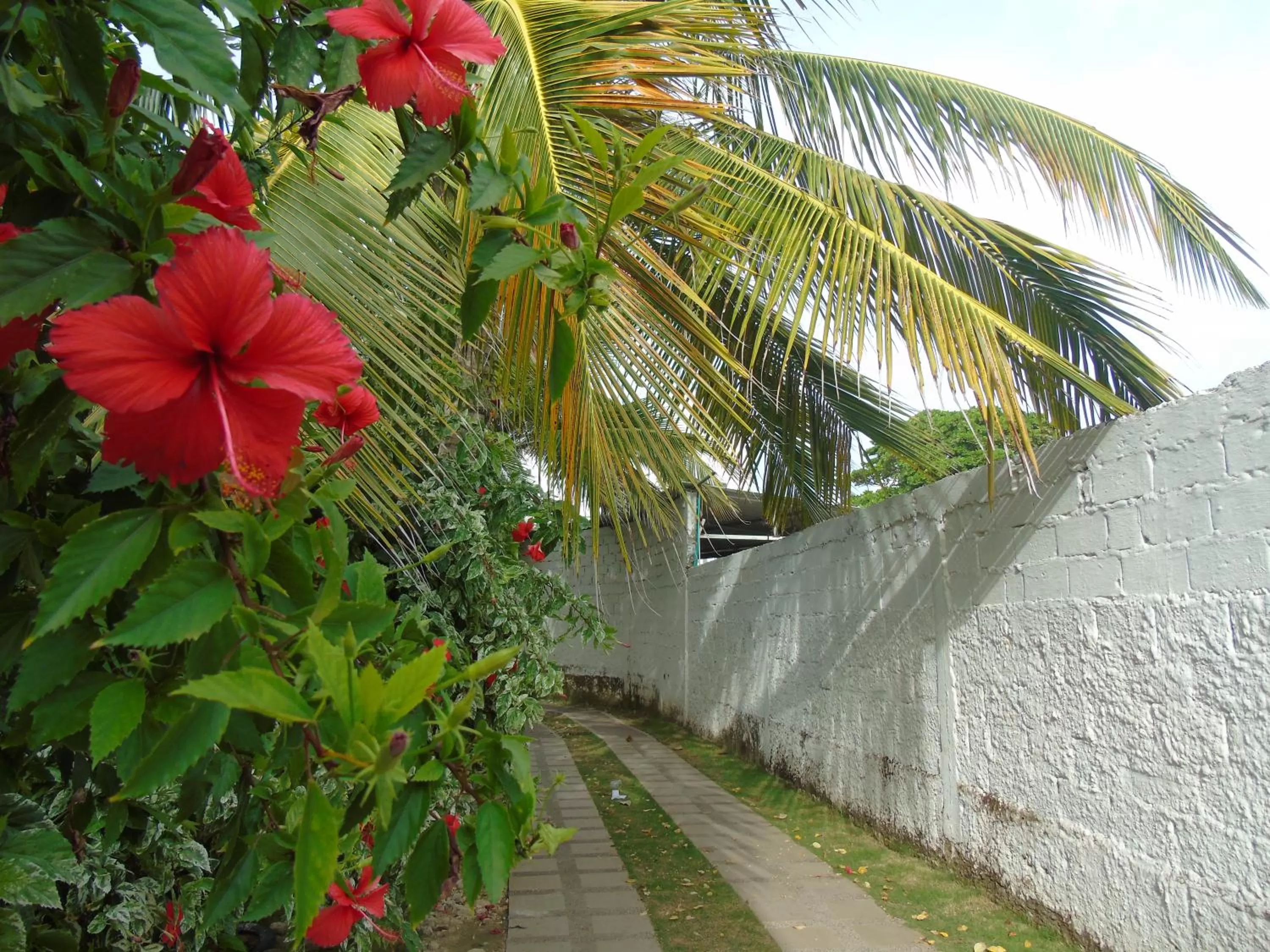 Spring in Villa San Miguel