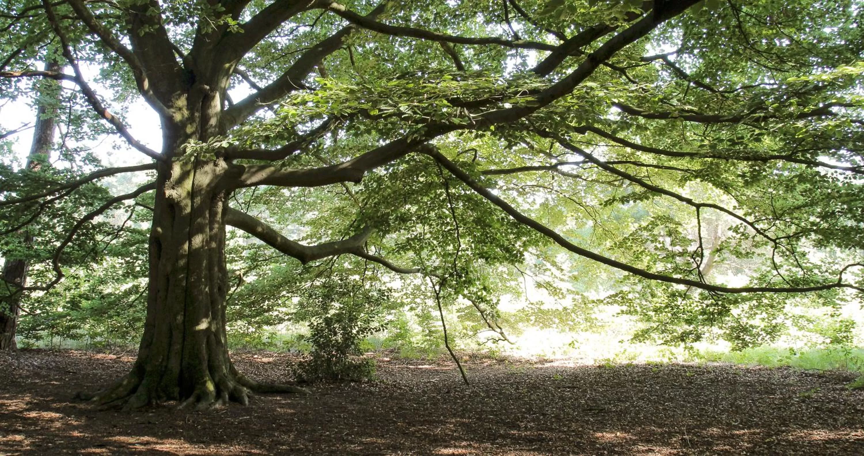 Natural landscape in Landhuis Hotel de Herikerberg