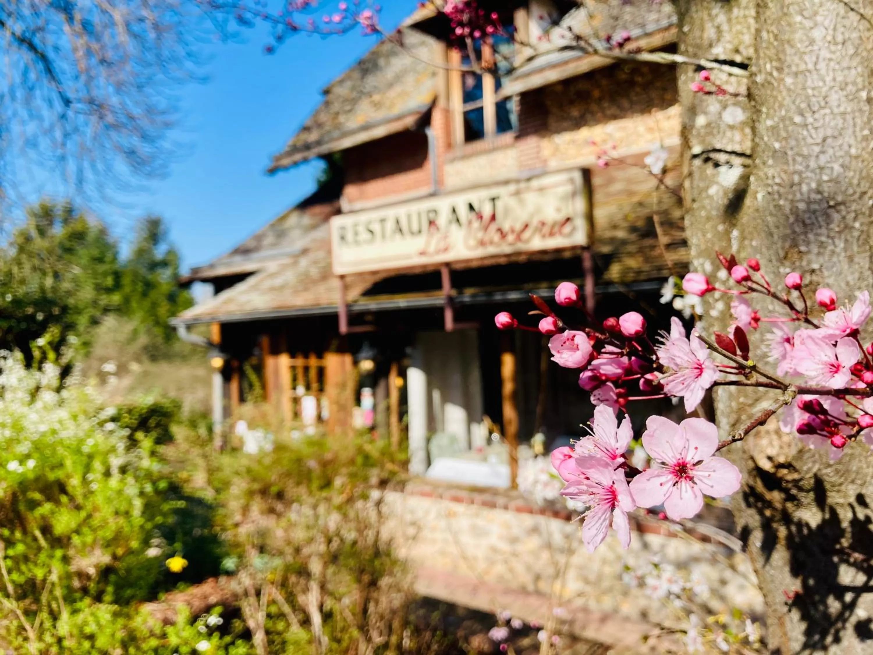 Restaurant/places to eat in Château Corneille
