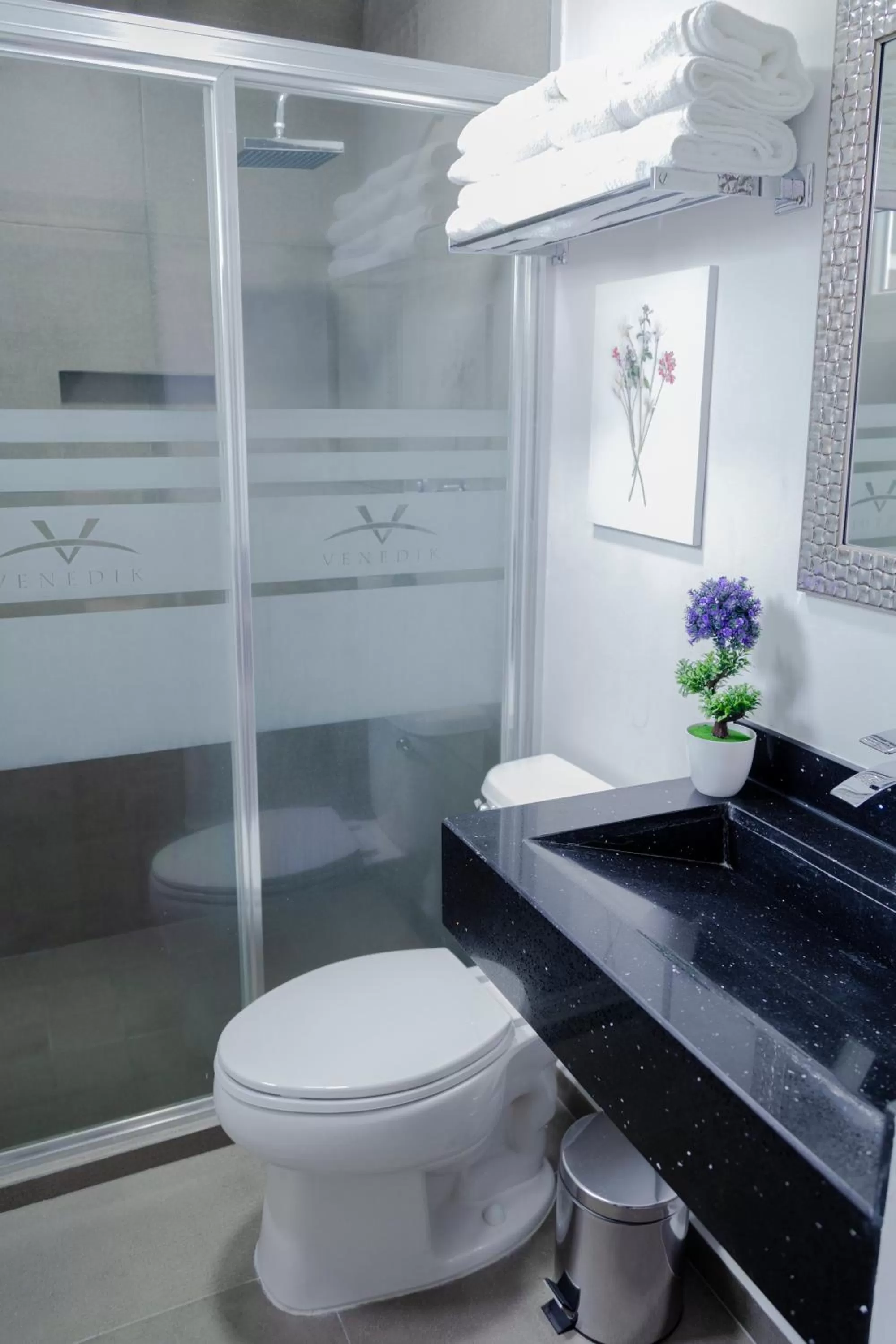 Shower in Hotel Venedik