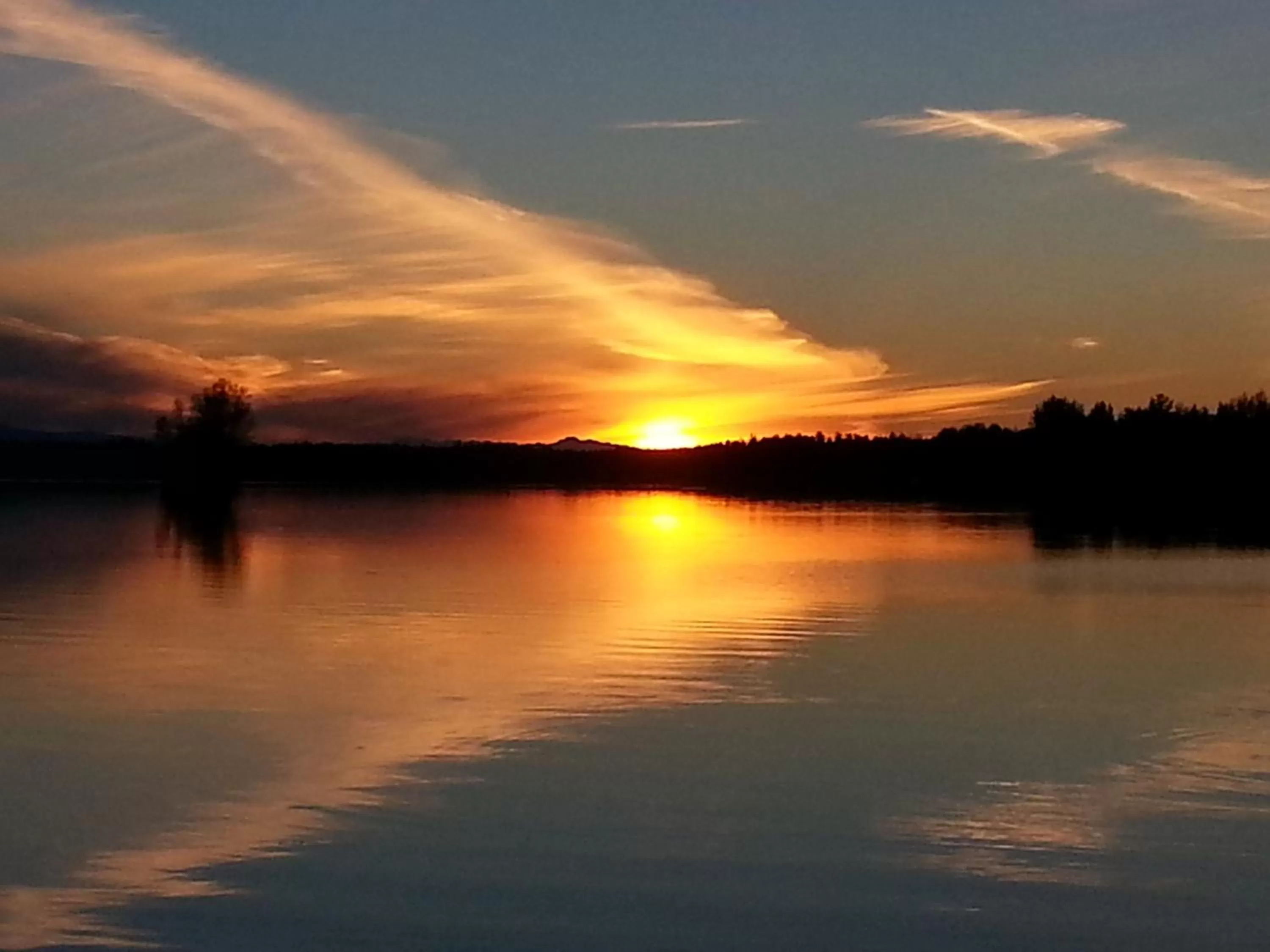 Lake view in Alaska's Lake Lucille Bed & Breakfast