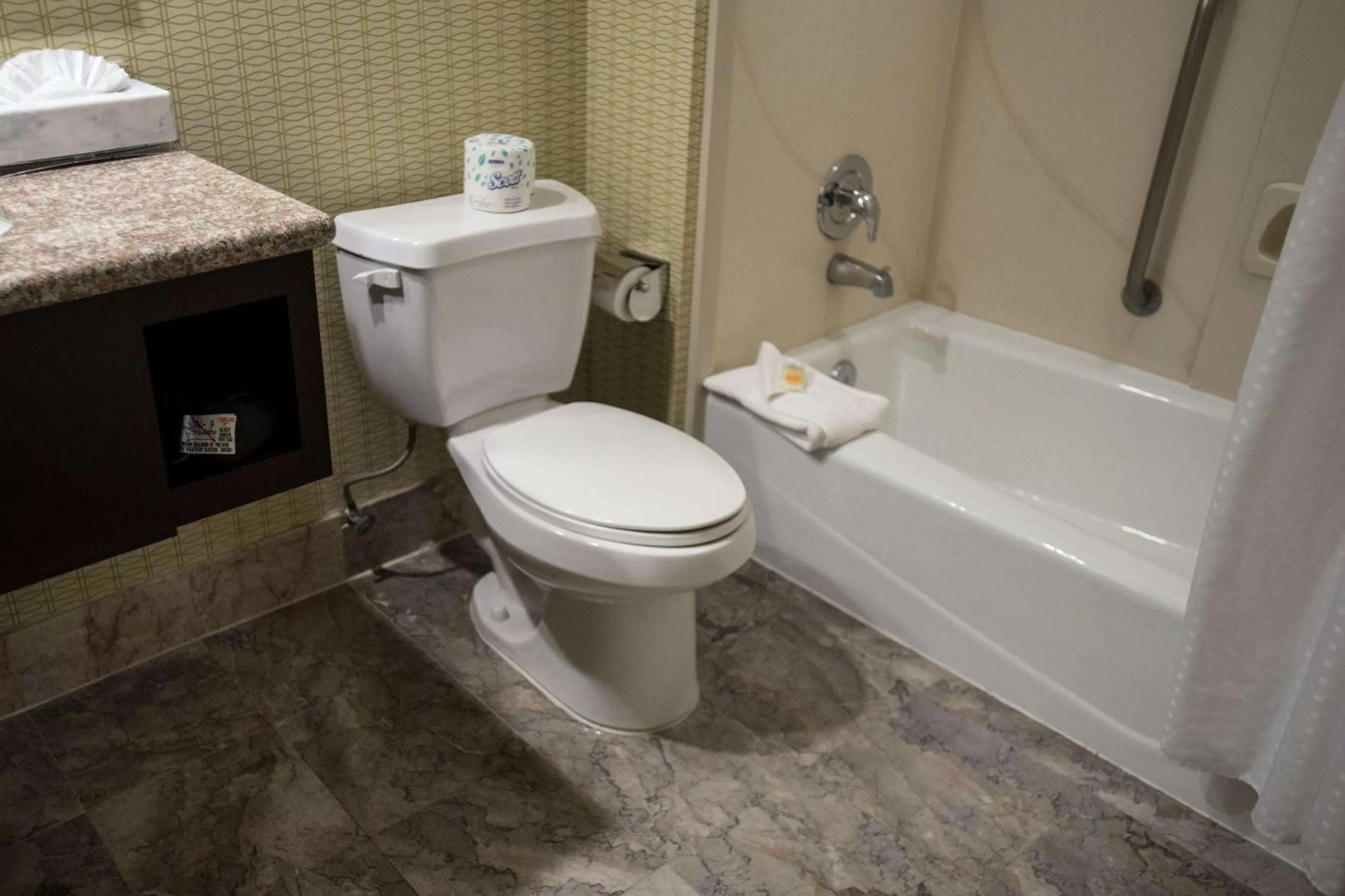 Standard Room, 1 King Bed with Sofa Bed, Non Smoking in The Volare, Ascend Hotel Collection