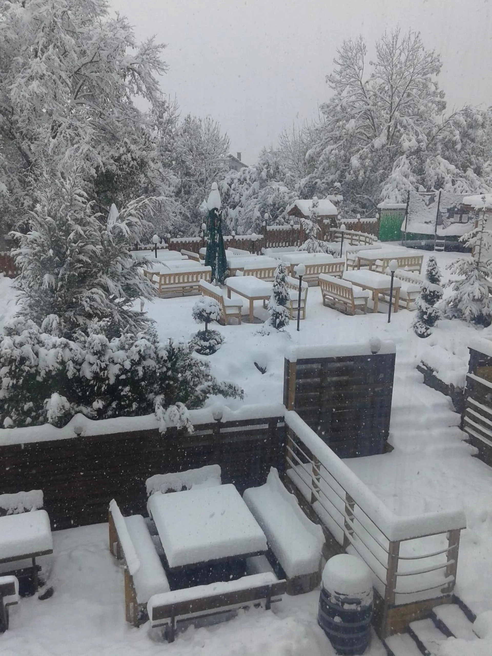 Day in Vitoshko Lale Hotel