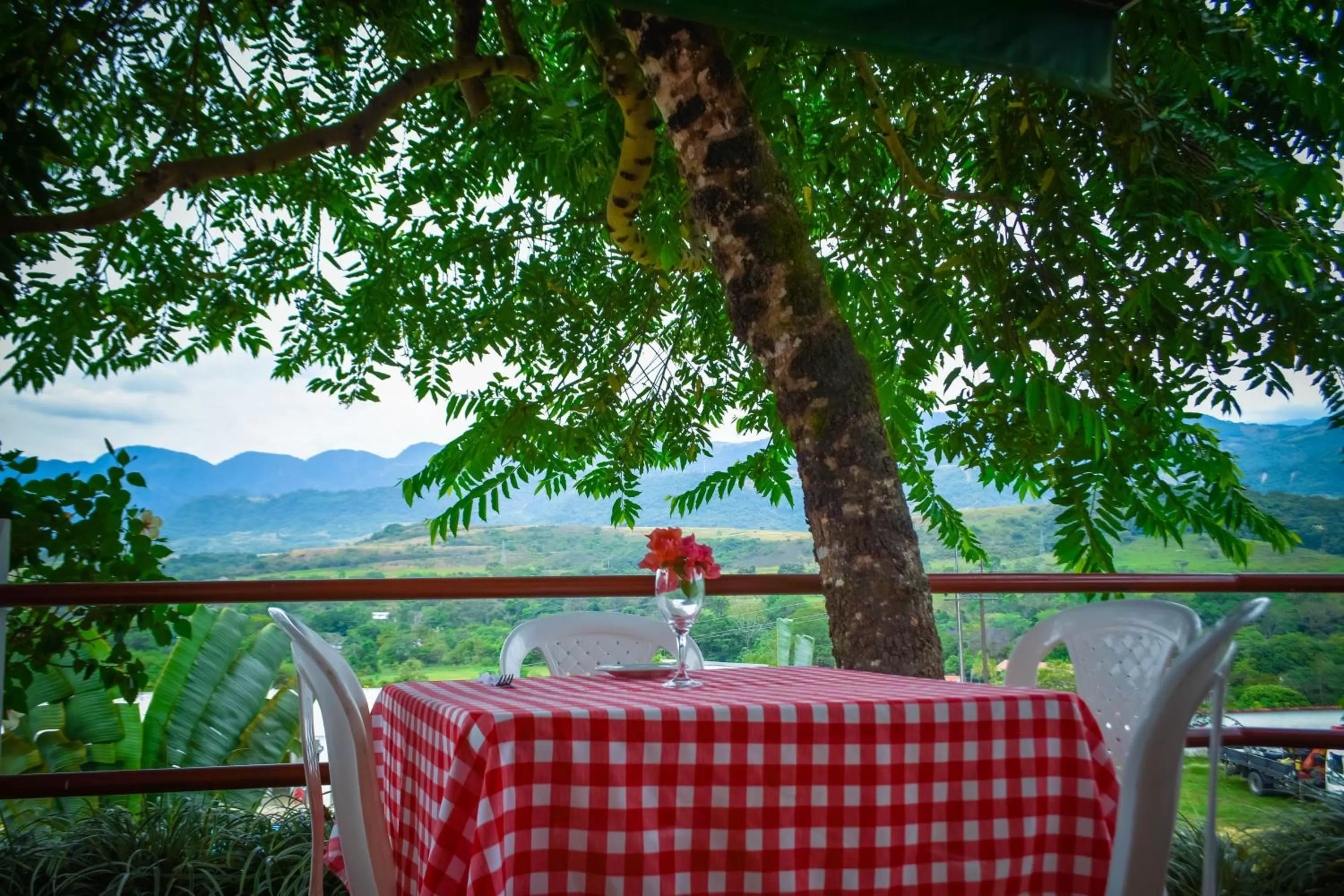 Breakfast in Hotel Montserrat Plaza