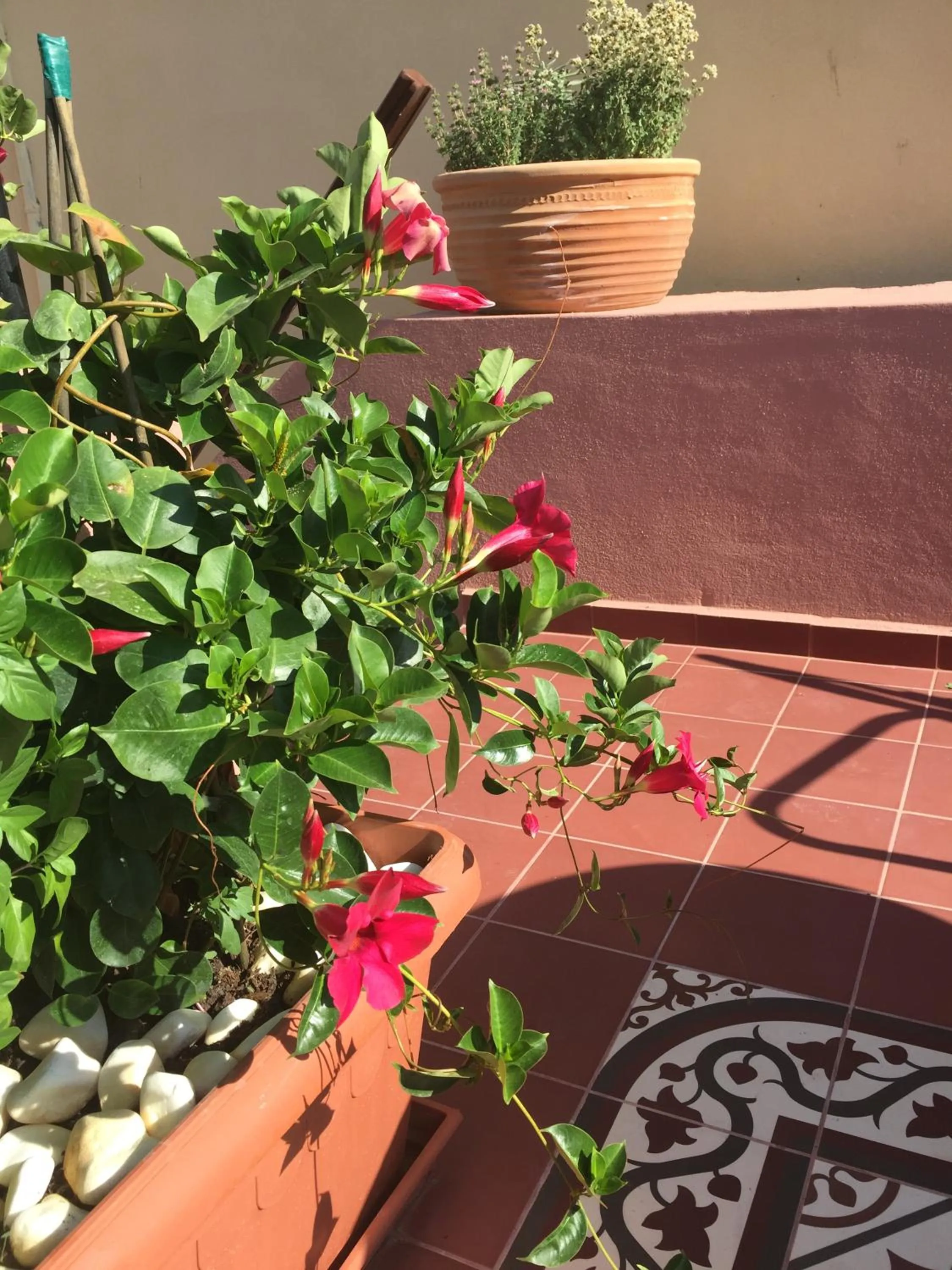 Garden in Sperveri Boutique Hotel