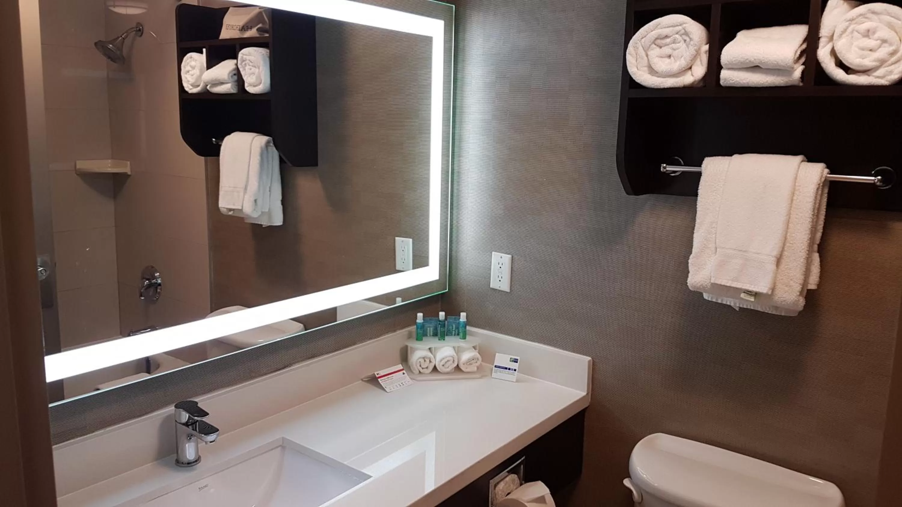 Bathroom in Holiday Inn Express Hotel & Suites Barrie by IHG