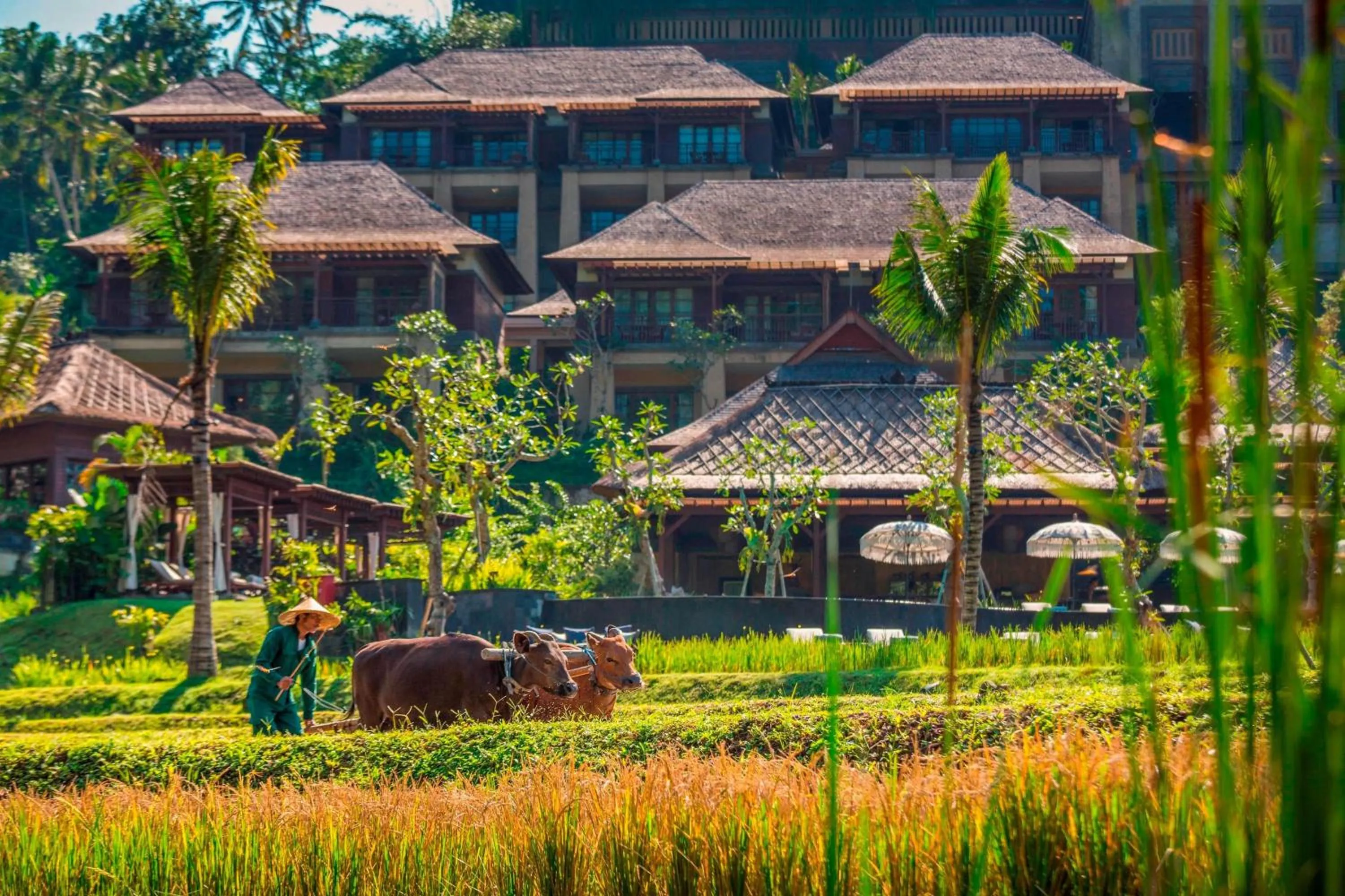 Other in Mandapa, a Ritz-Carlton Reserve