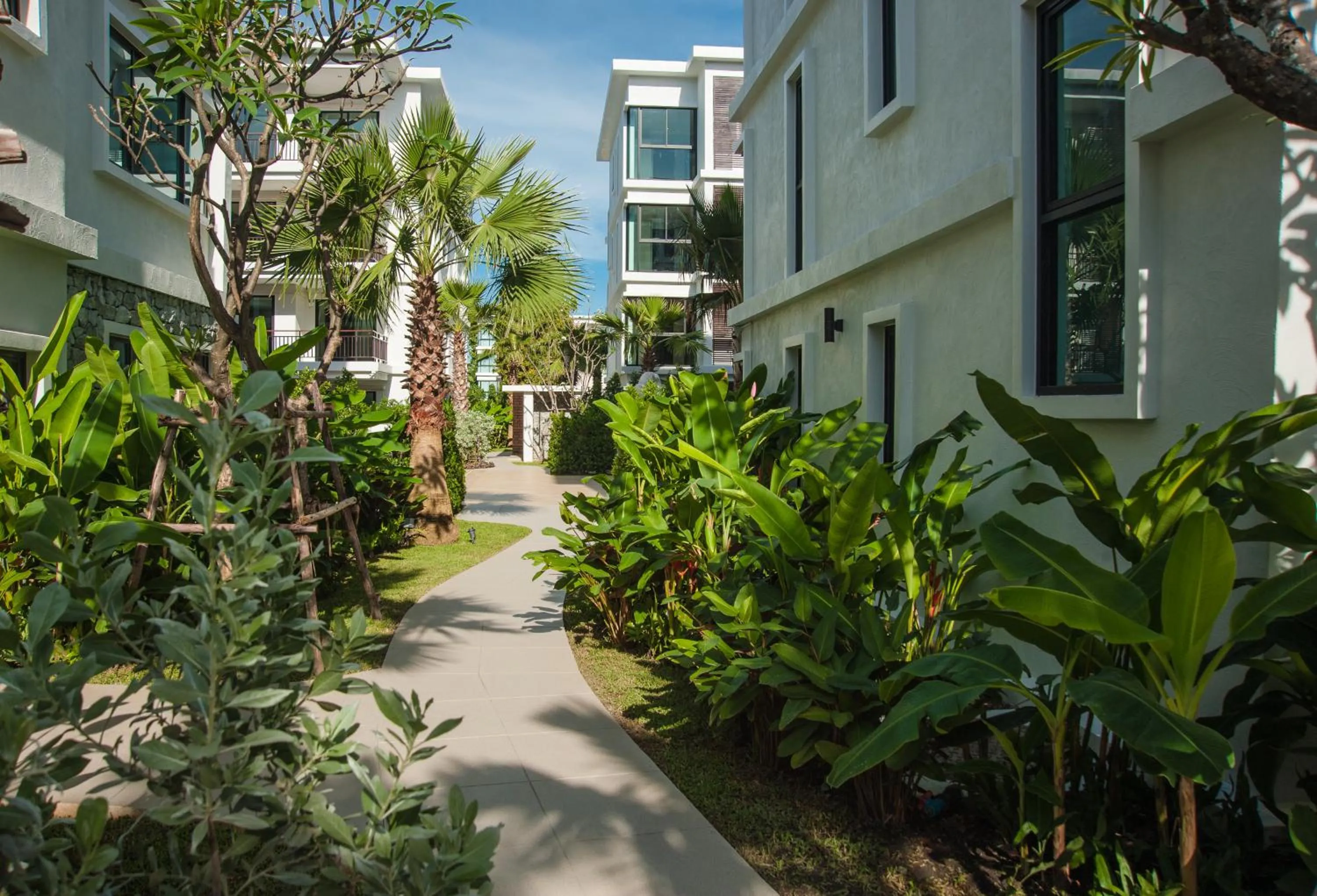 Natural landscape in The Title KR Beach Condotel Rawai Beach