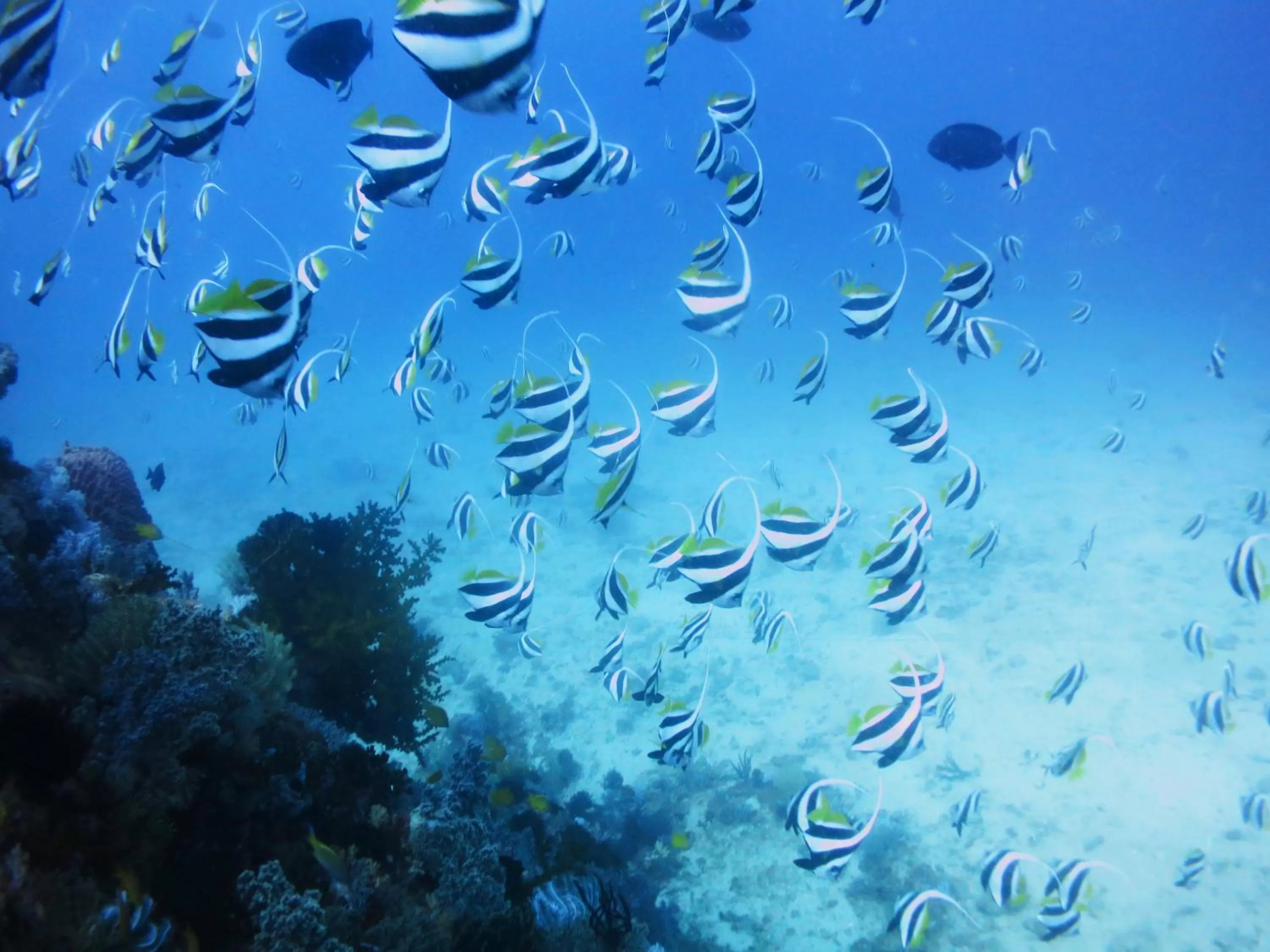 Activities in Paseo Del Mar Seaside Inn