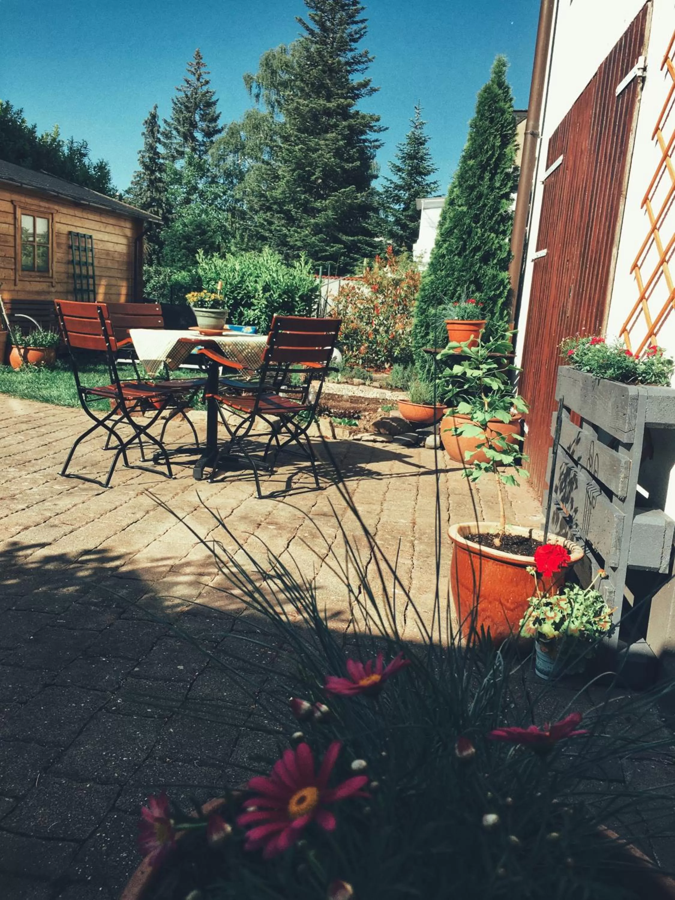 Patio in Hotel & Weinhaus Zum Schwarzen Bären