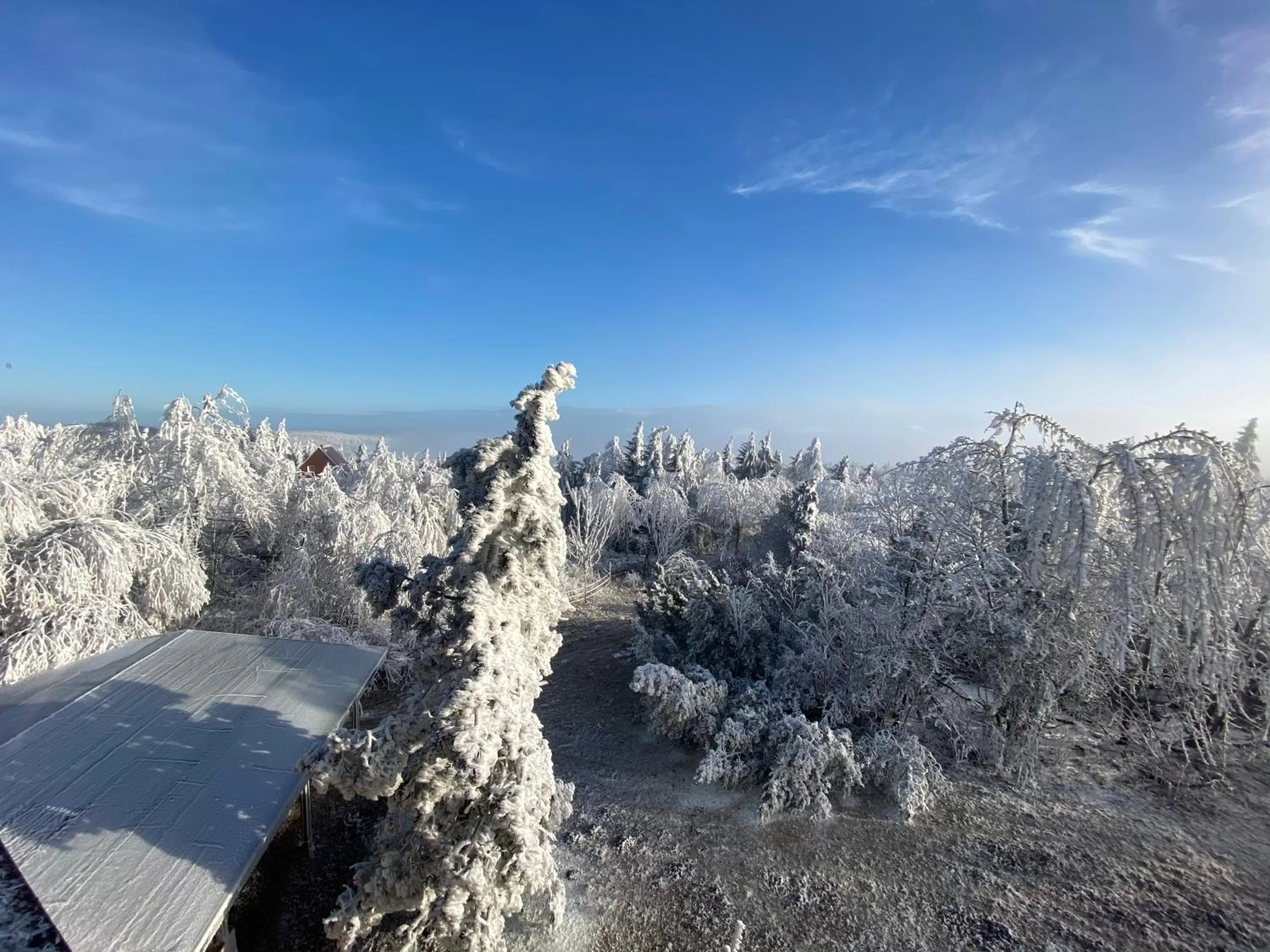 Property building in Hotel Lugsteinhof