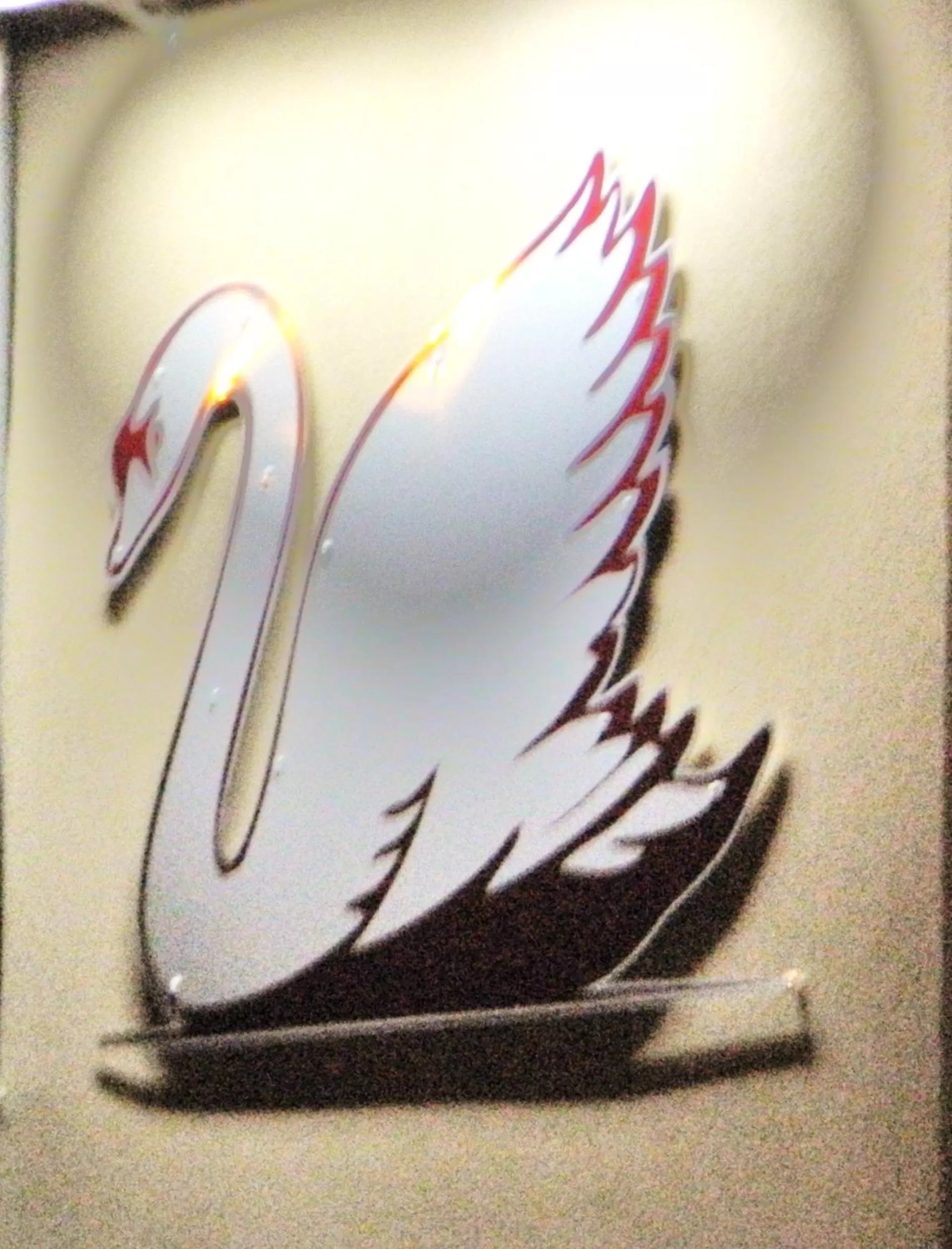 Facade/entrance in Hotel Restaurant Le Cygne