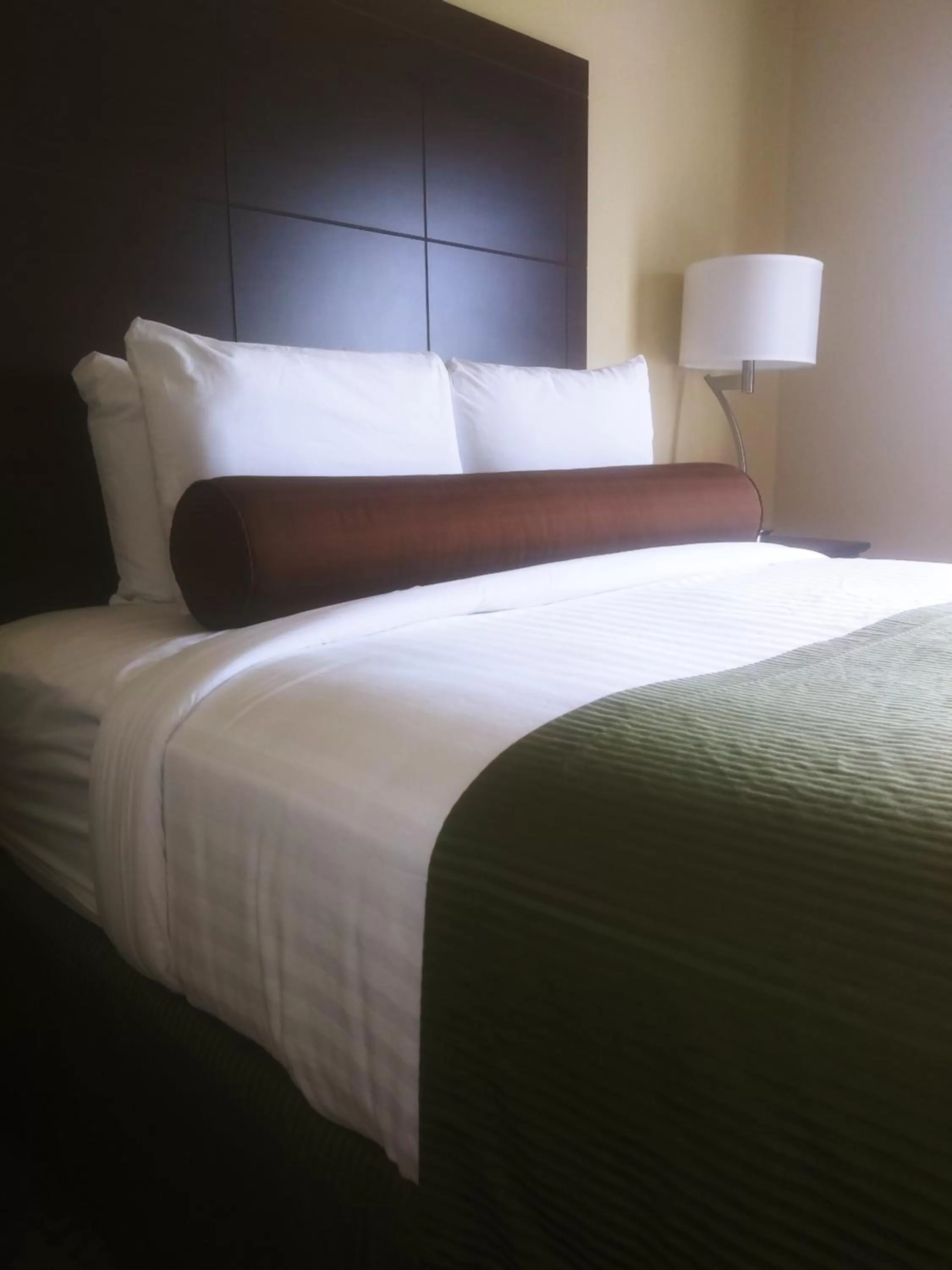Queen Room - Disability Access in Cobblestone Hotel & Suites - Harborcreek