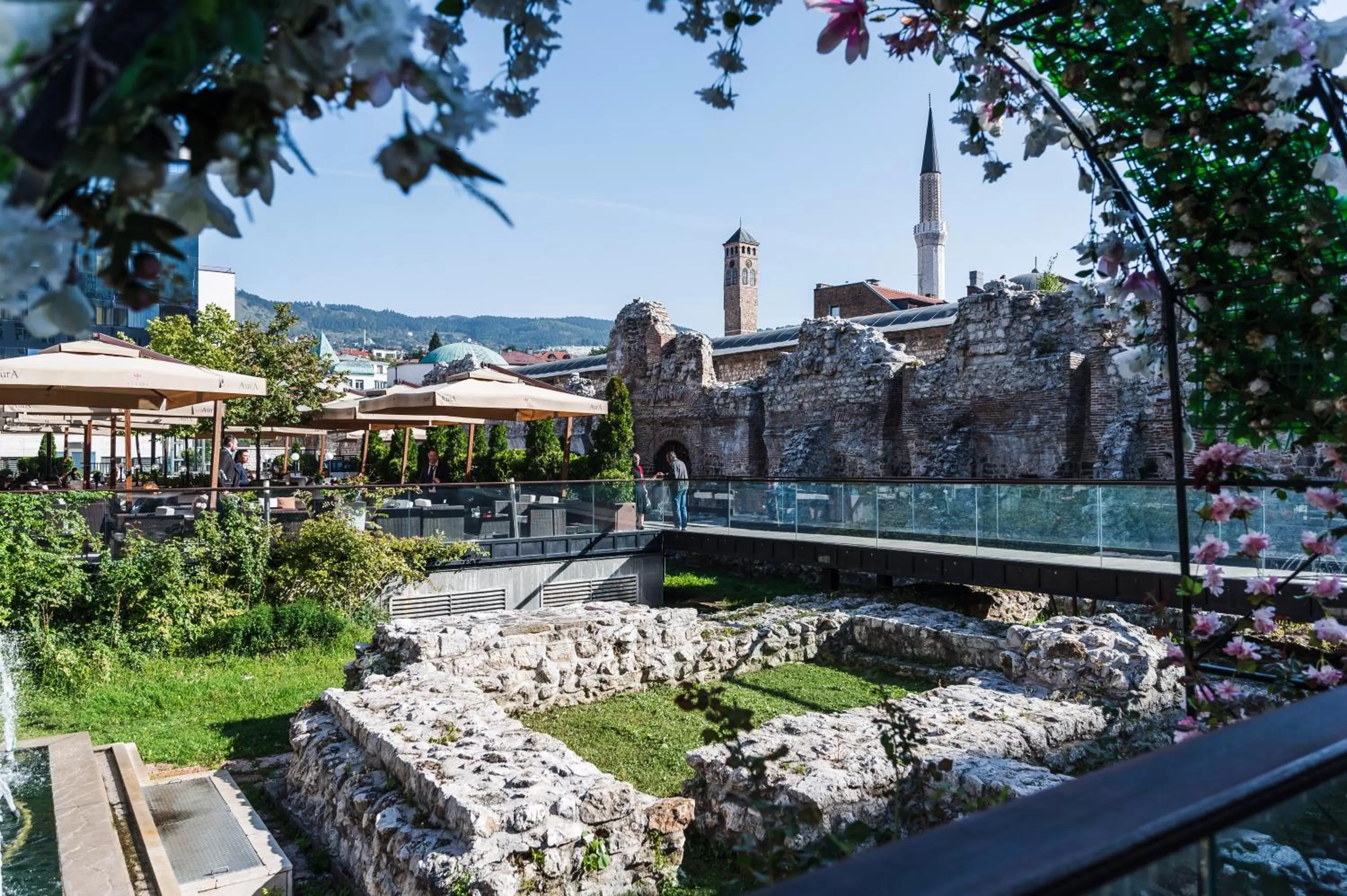 Garden in Hotel Europe
