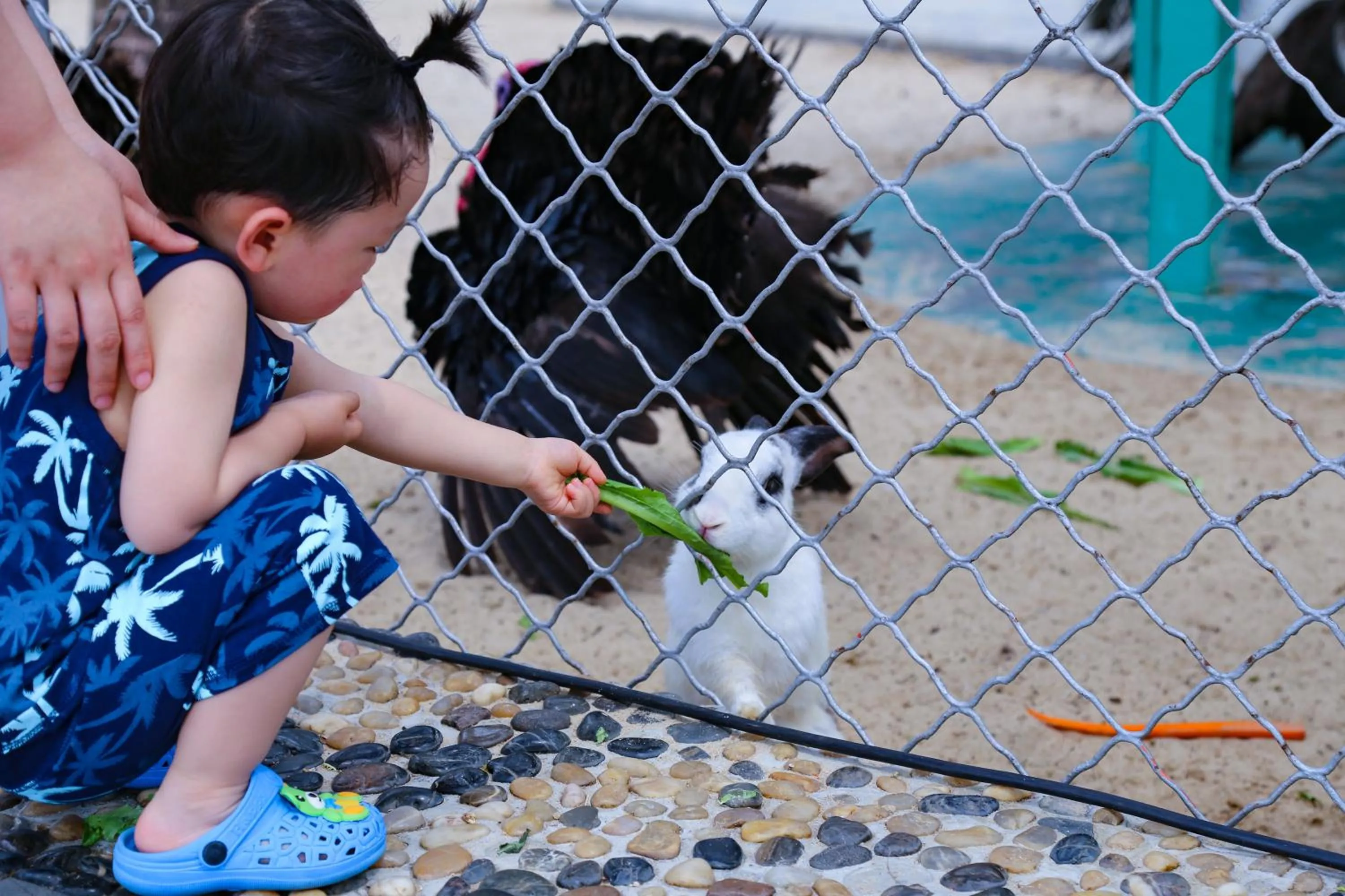 children in Horizon Resort & Spa Yalong Bay-Yalong Bay Central
