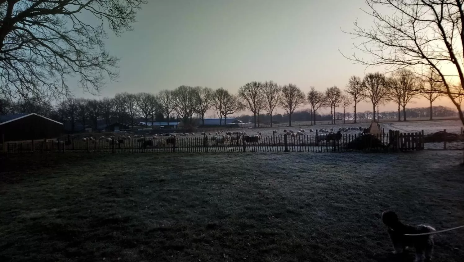 View (from property/room) in 't Rond Bargie