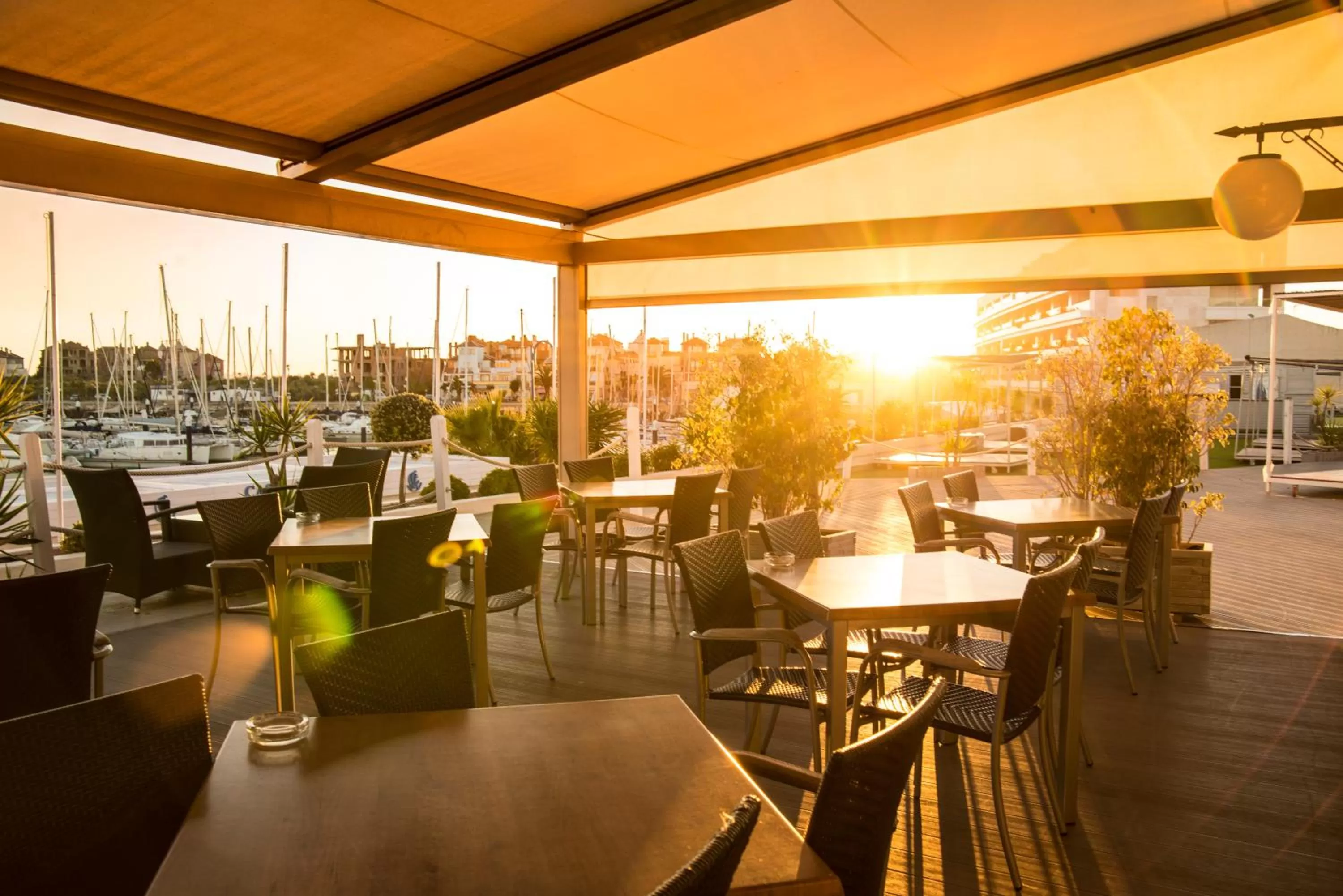 Restaurant/places to eat in Hotel Puerto Sherry