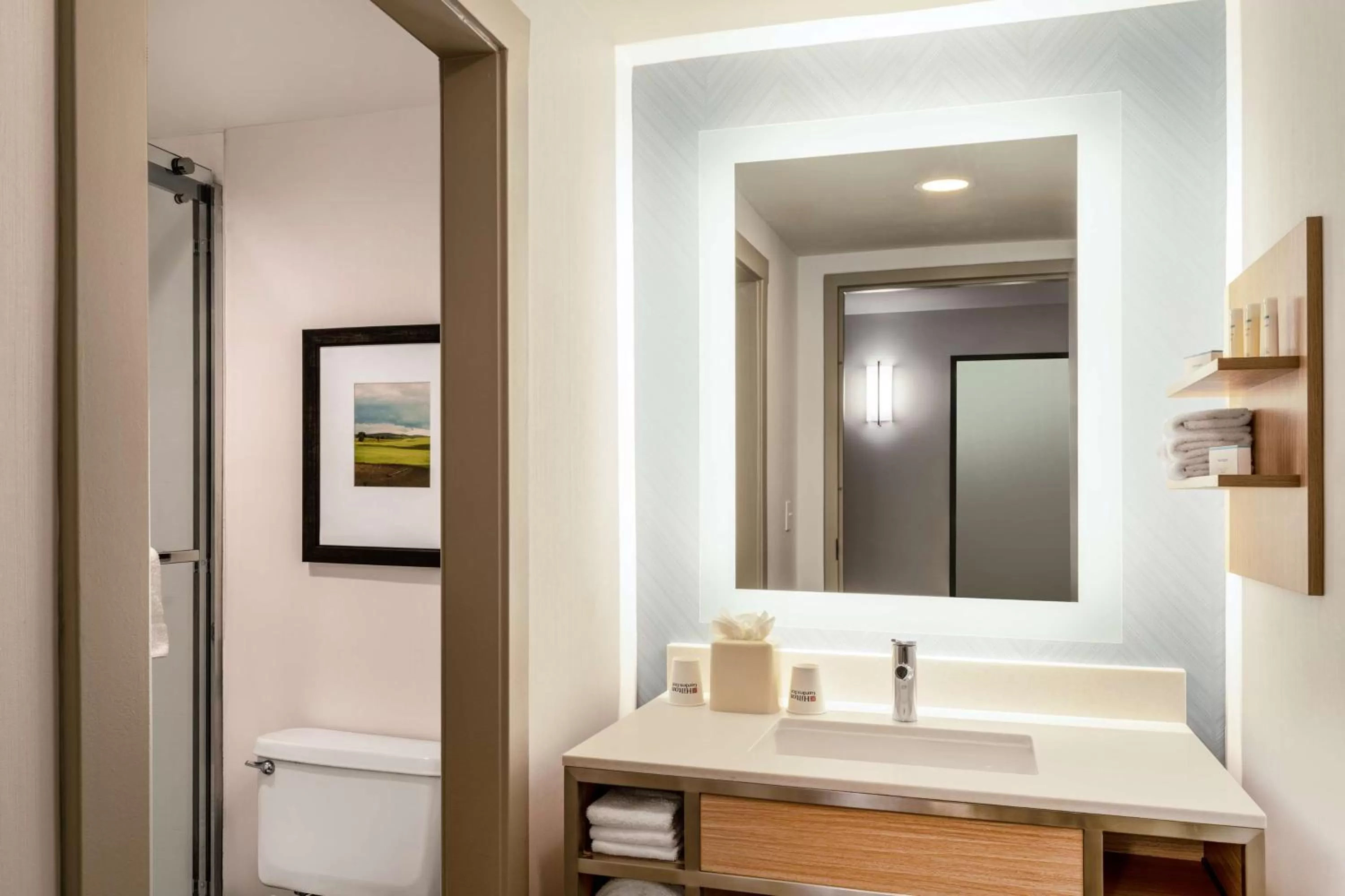 Bathroom in Hilton Garden Inn Jacksonville Ponte Vedra Sawgrass