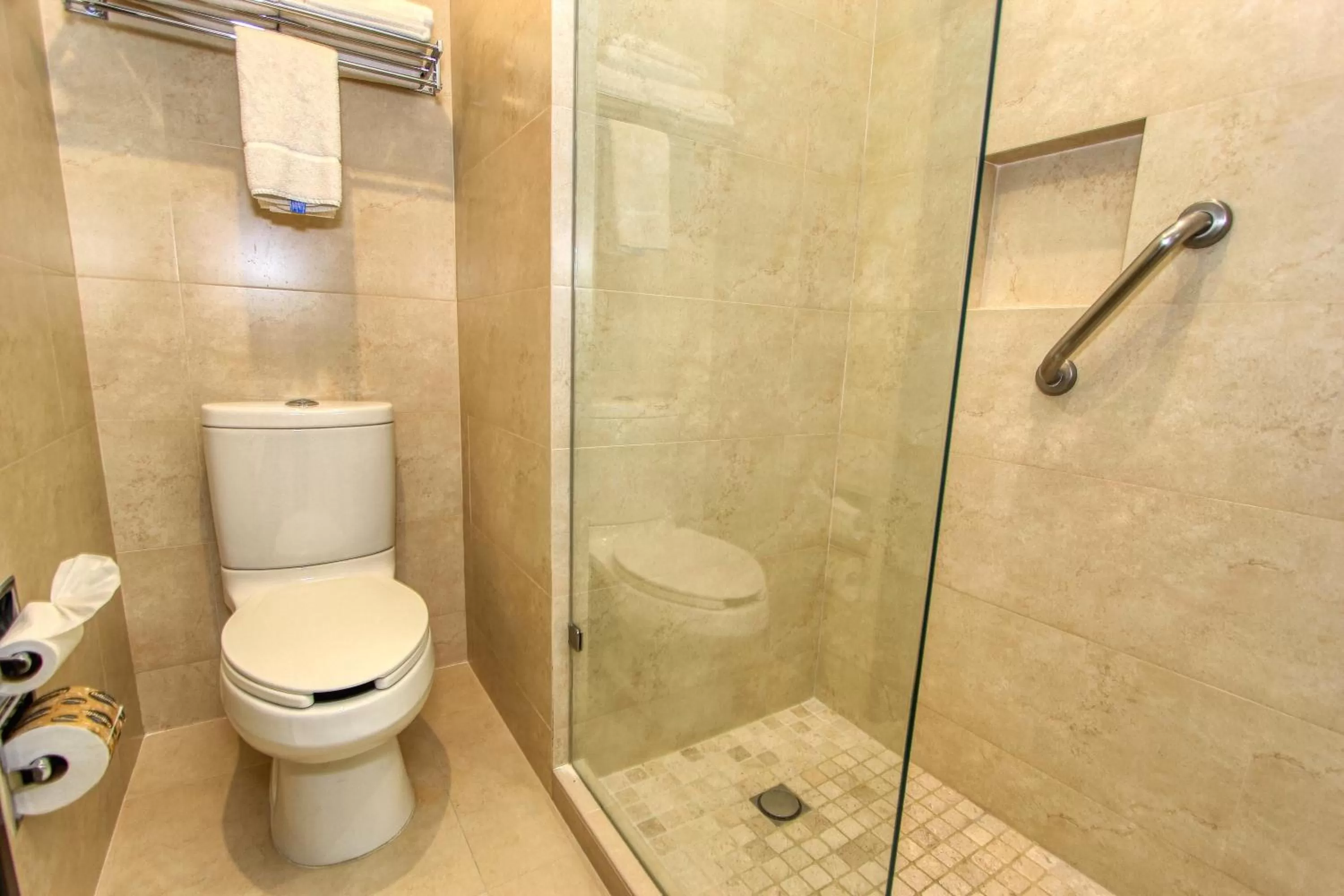 Bathroom in Holiday Inn Leon by IHG