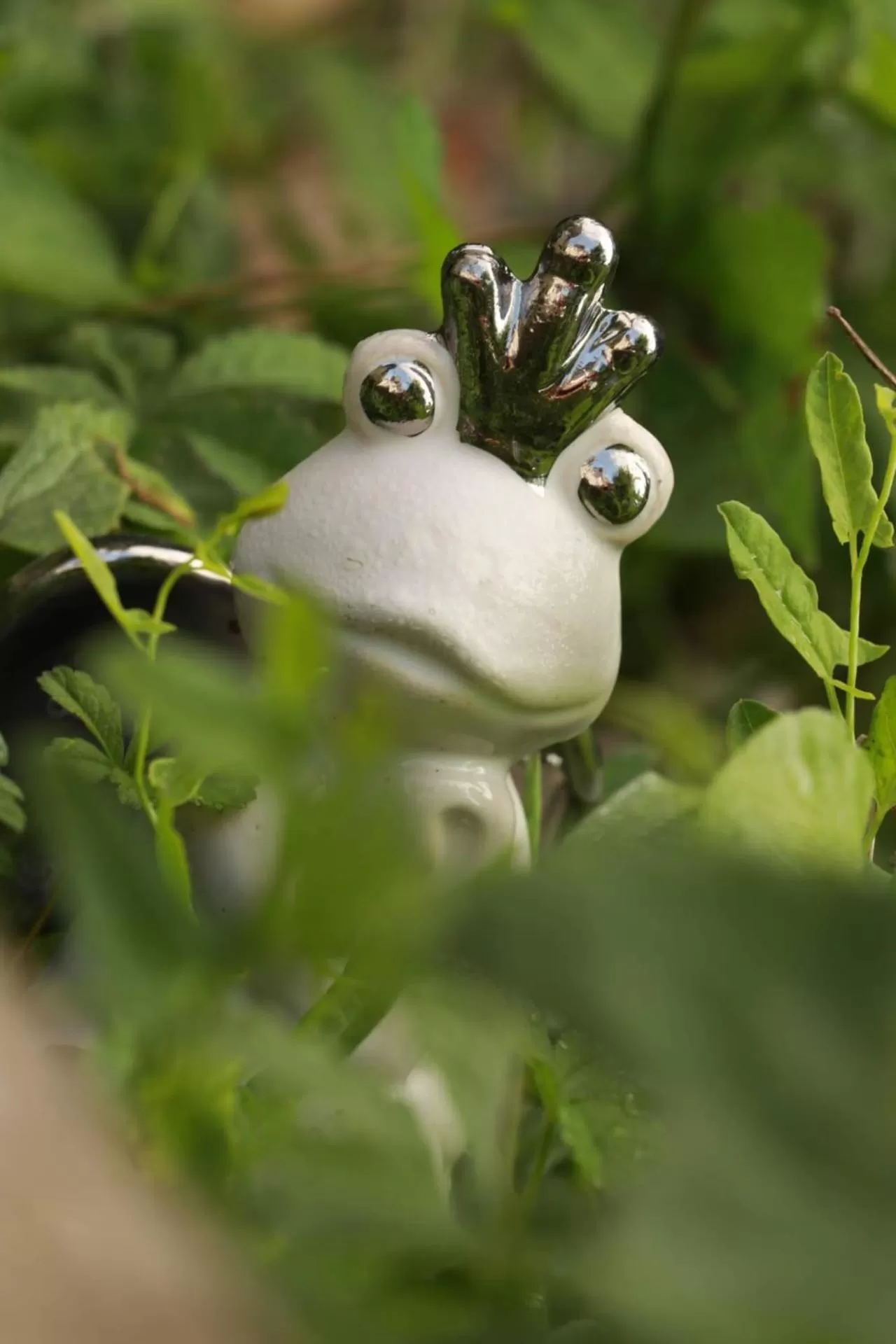 Garden in La Maison des Copains
