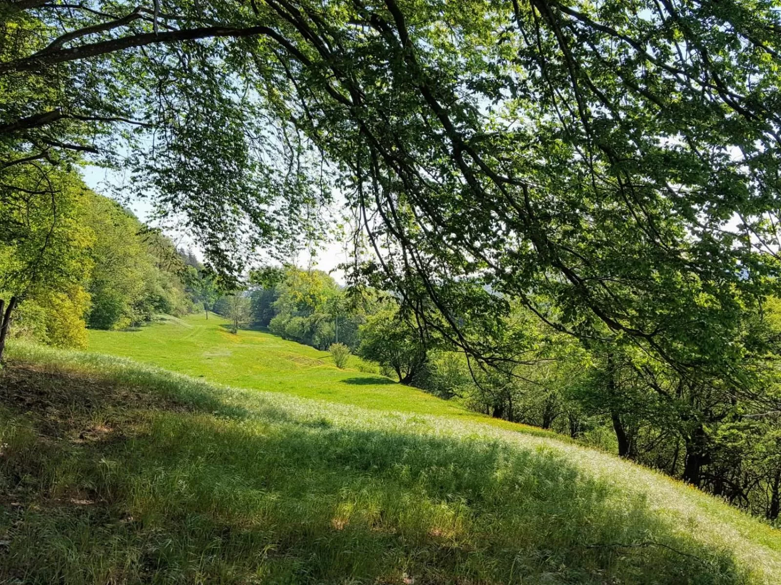 Garden in Sunhill Appartments, klimatisiert