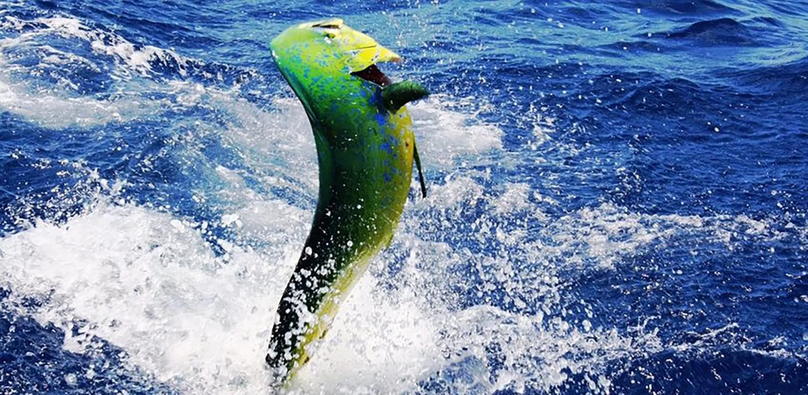 Fishing in Casa Valeria Boutique Hotel