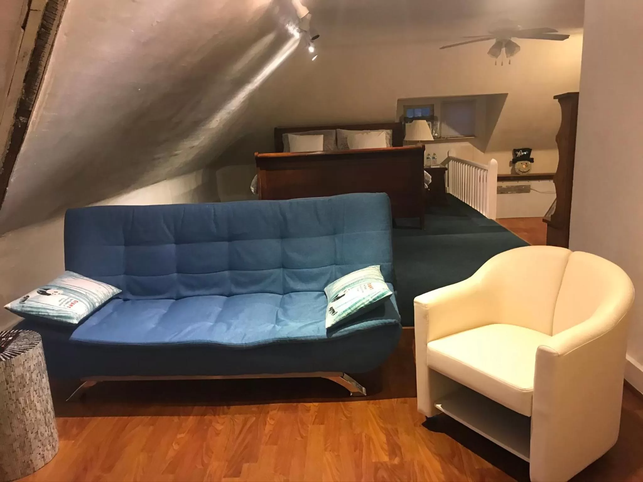 Living room, Seating Area in 5 Star Victorian Mansion-Downtown No Locals