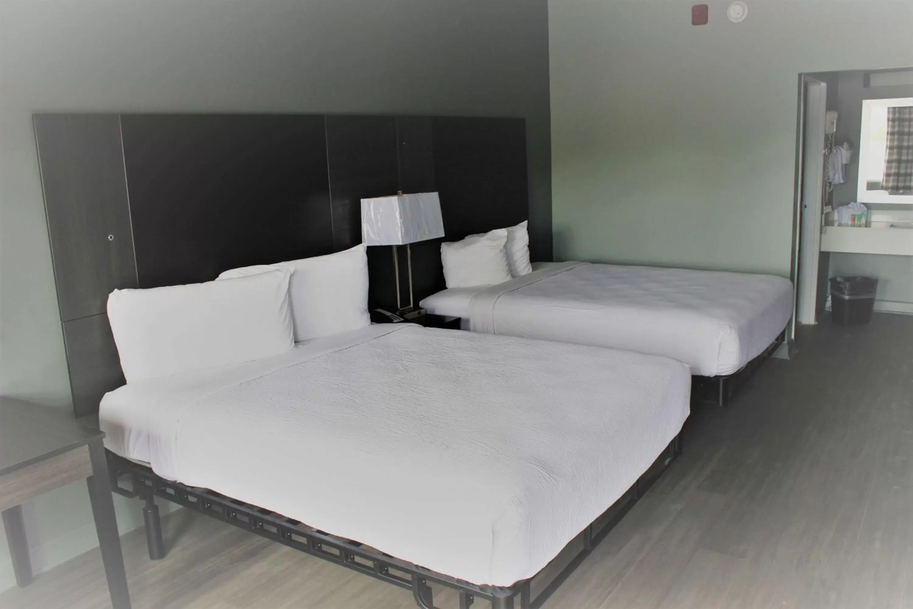 Queen Room with Two Queen Beds and Walk-in Shower - Disability Access in SureStay Hotel by Best Western Conway Queen Room with Two Queen Beds and Walk-in Shower - Disability Access in SureStay Hotel by Best Western Conway