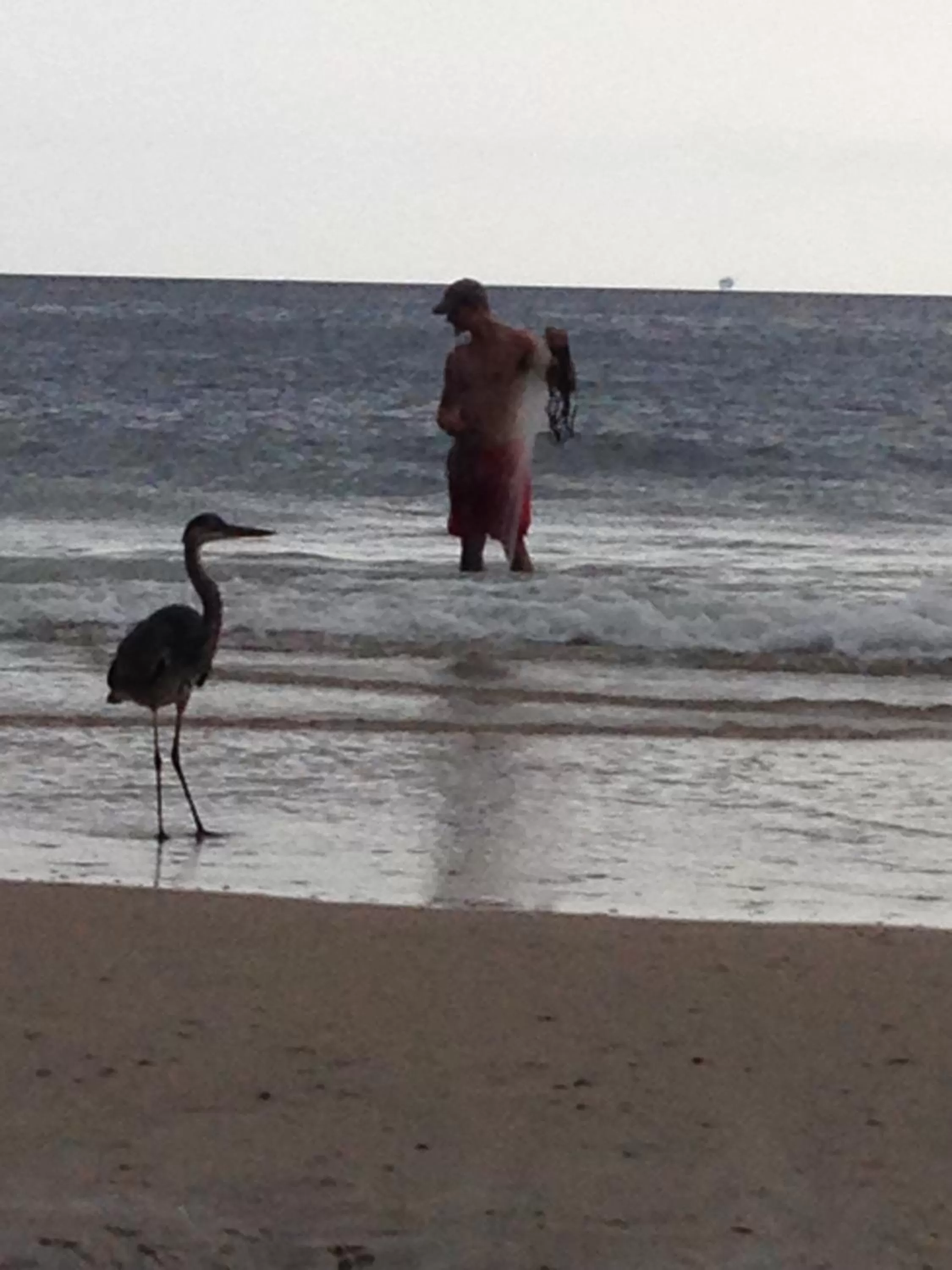 Sea view in Gulf Shores Plantation West #1250