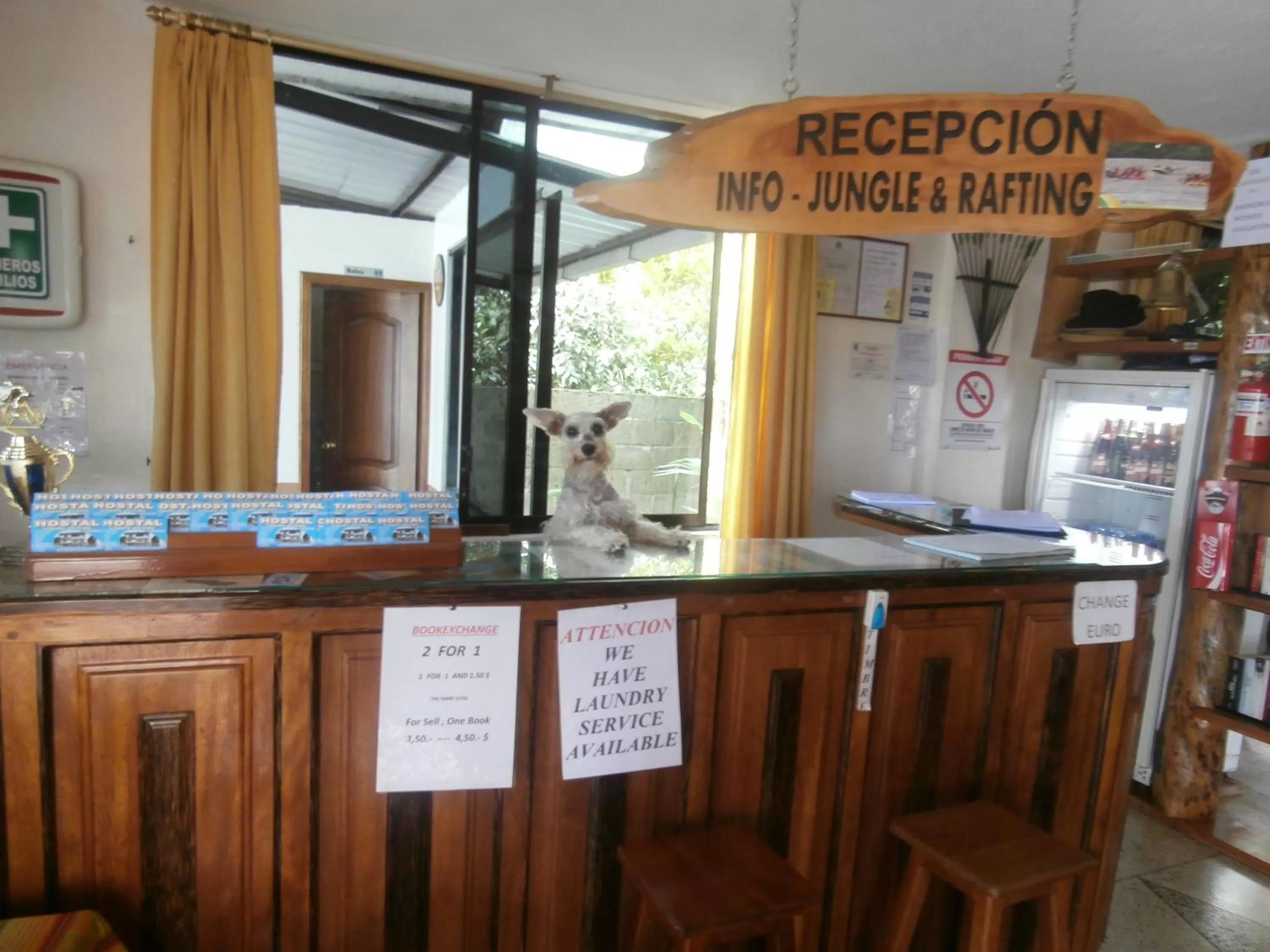 Animals in Hostal Limoncocha