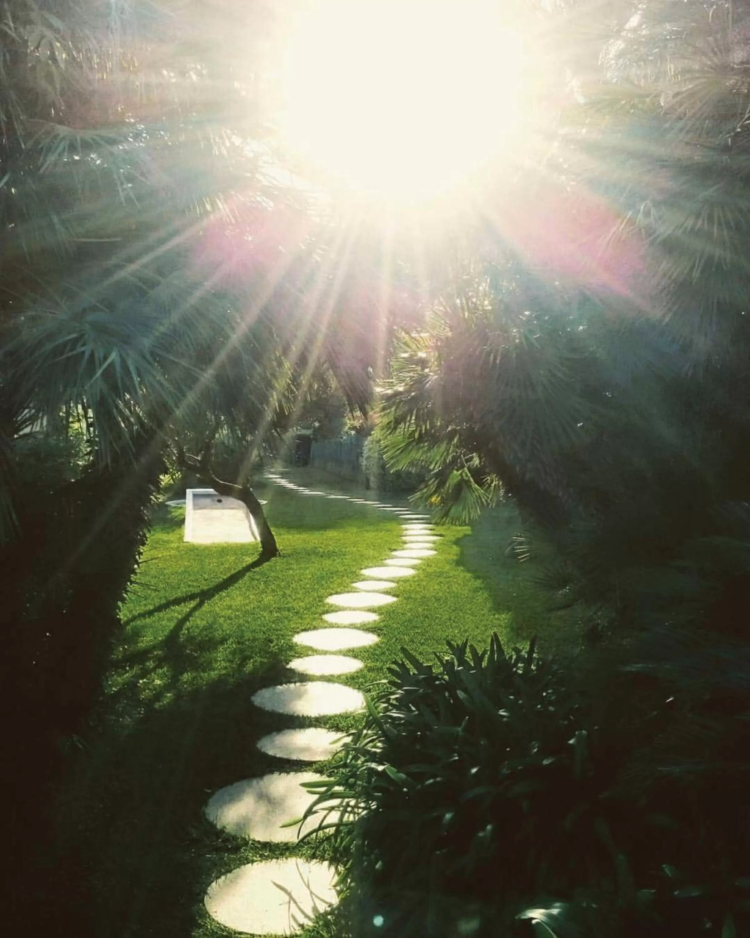 Garden in Grand Hotel Del Mare Resort & Spa