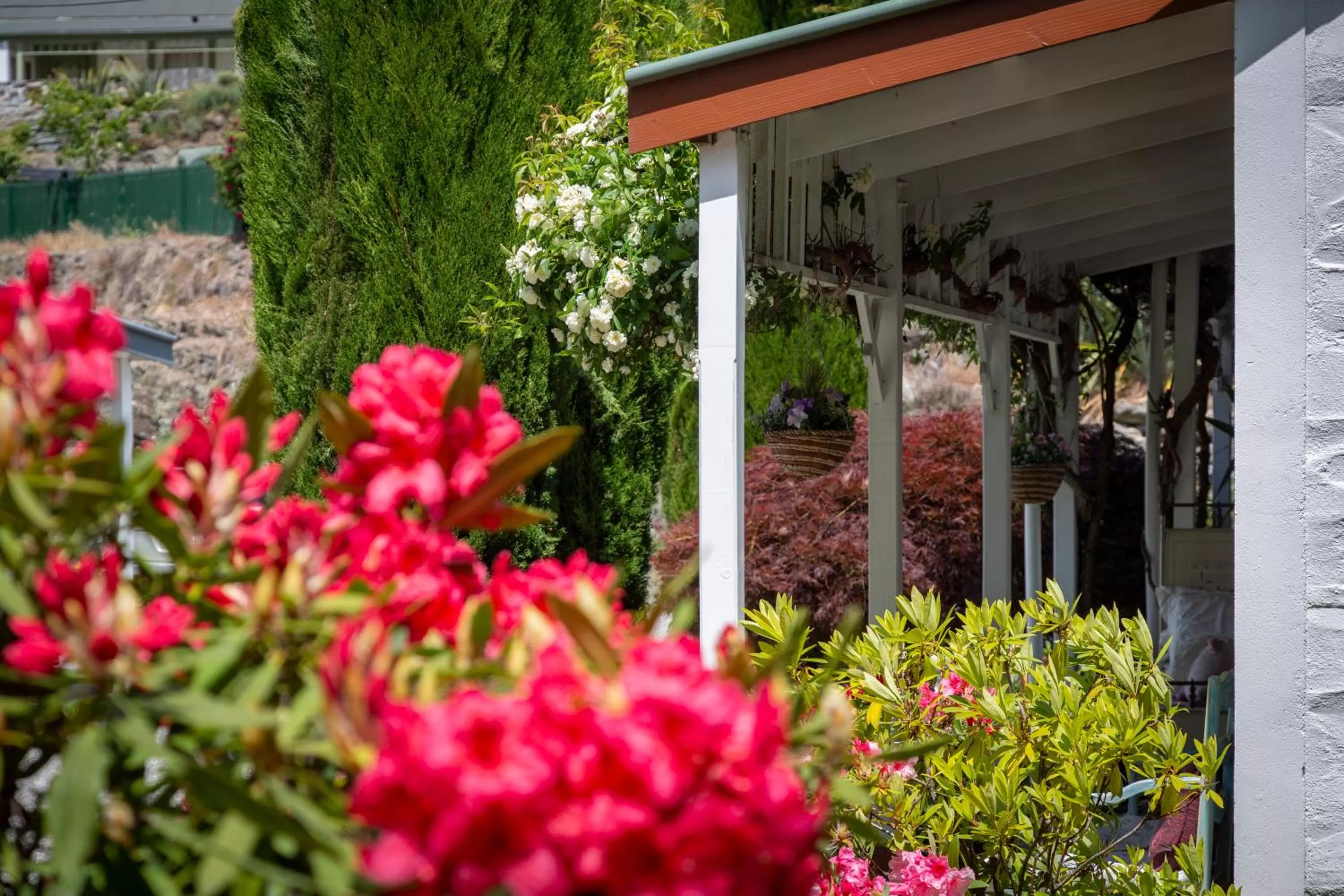 Settlers Cottage Motel