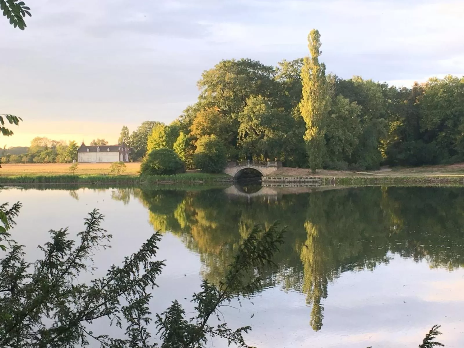 Natural landscape in Hotel Landhaus Wörlitzer Hof