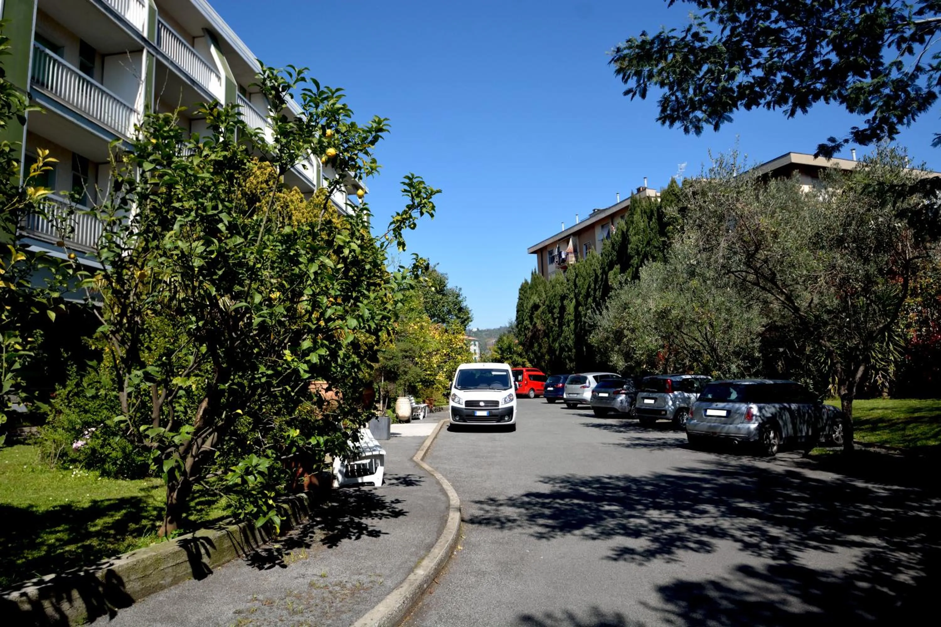 Garden in Hotel Ghironi
