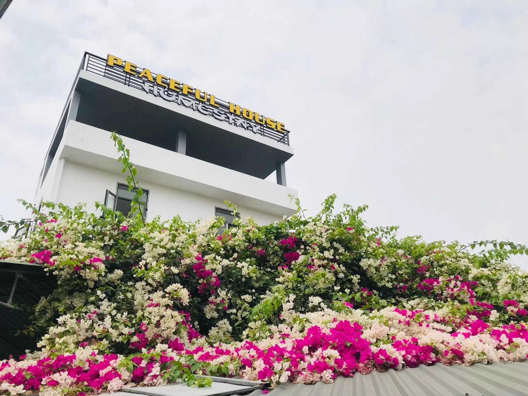 Peaceful House Hostel