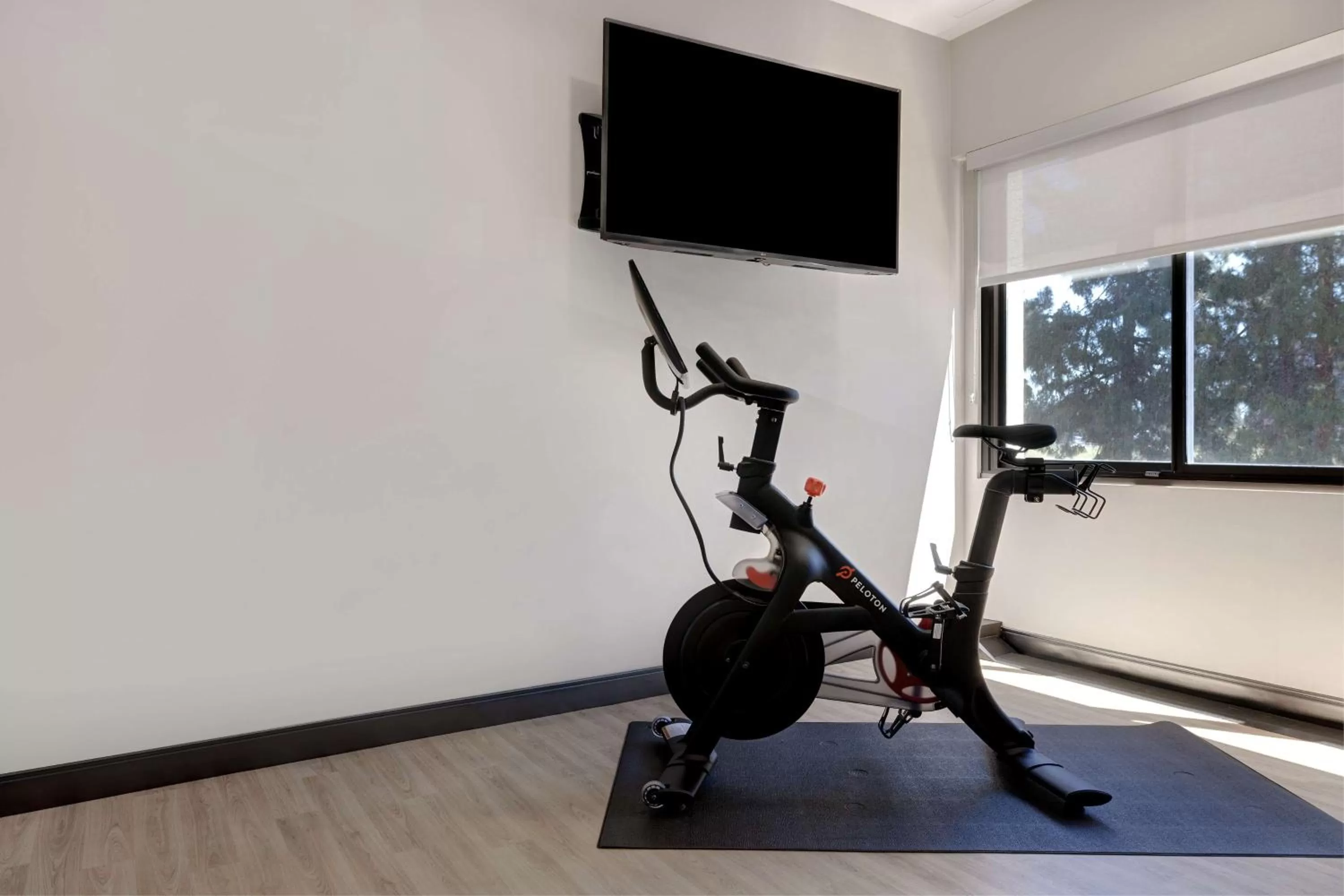Fitness centre/facilities in Embassy Suites by Hilton Santa Clara Silicon Valley