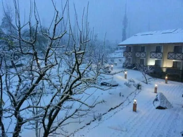 View (from property/room) in Solang Valley Resort