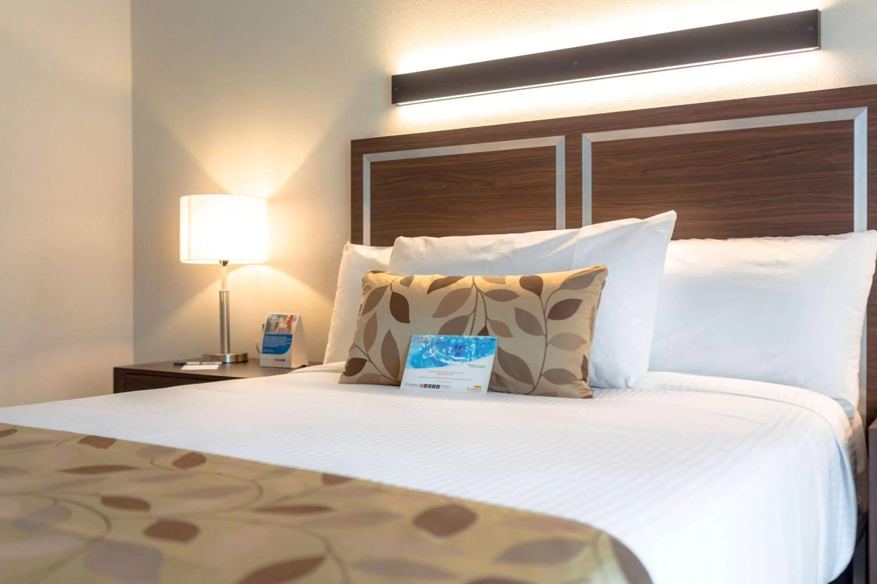 Photo of the whole room, Bed in Sleep Inn Guadalajara Galerias