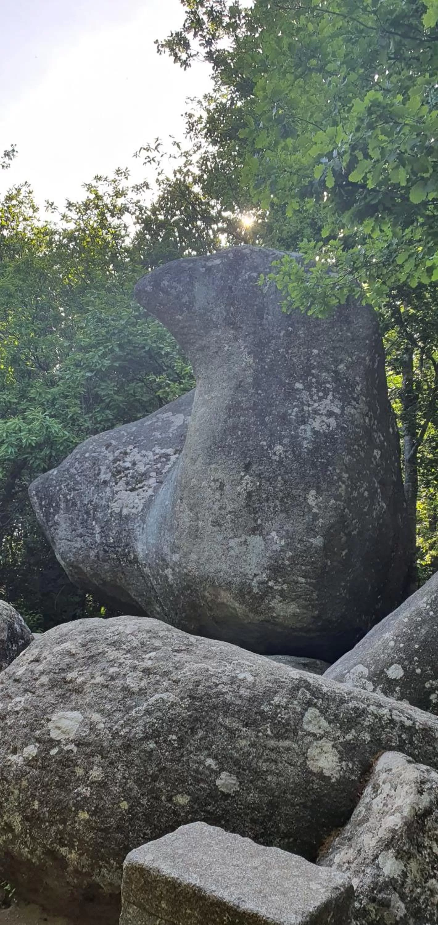 Nearby landmark in A l'Ecole Buissonnière, chambre d'hôtes en Sidobre