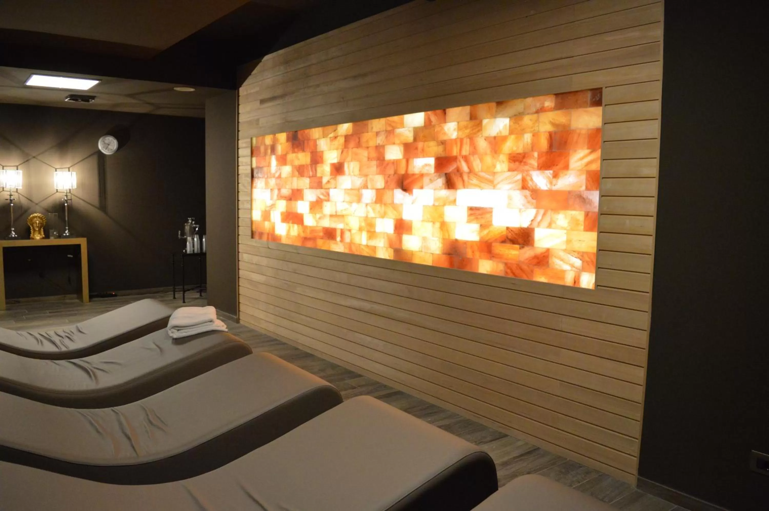 Spa and wellness centre/facilities in Euroterme