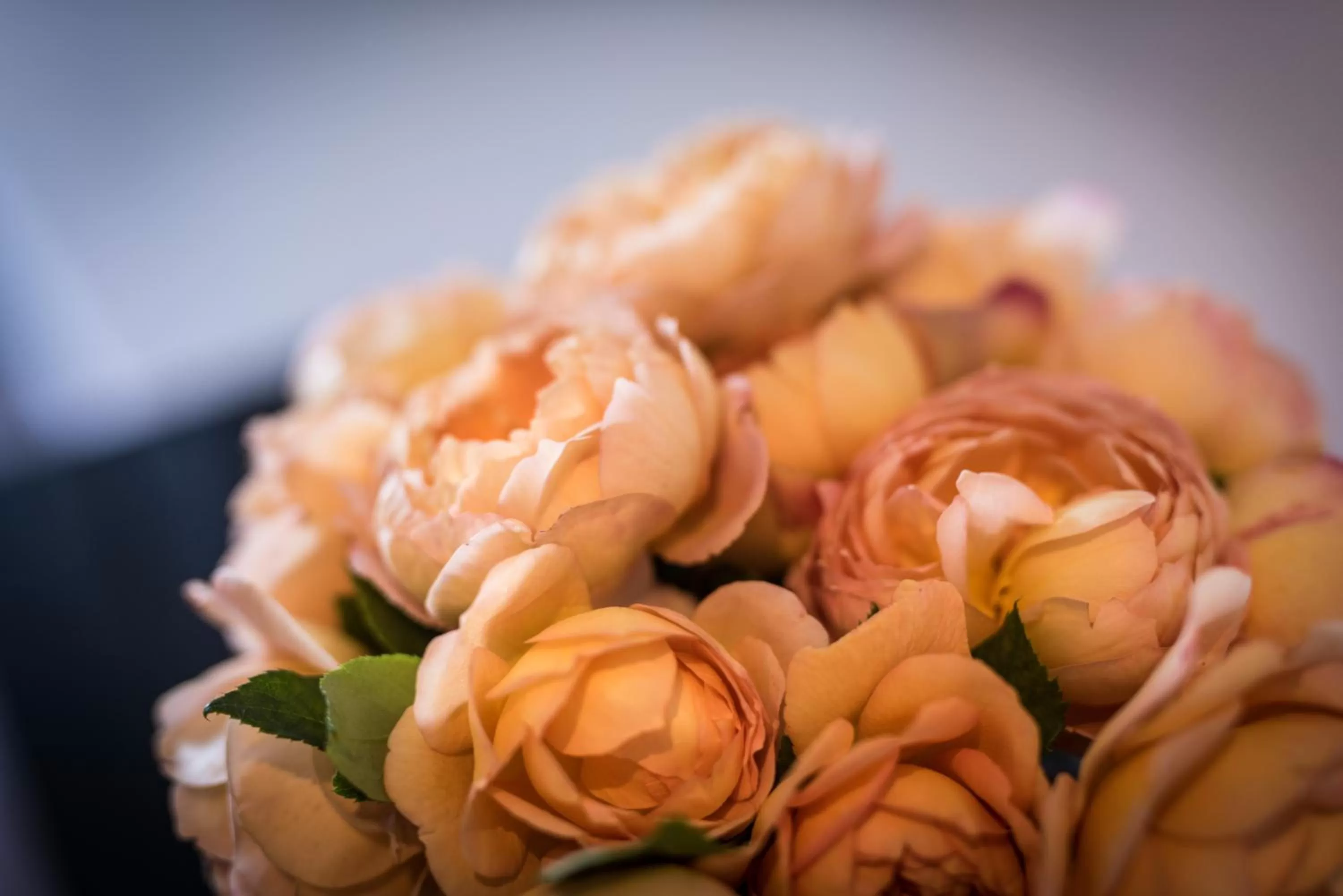 Decorative detail in Hotel Melchior Park