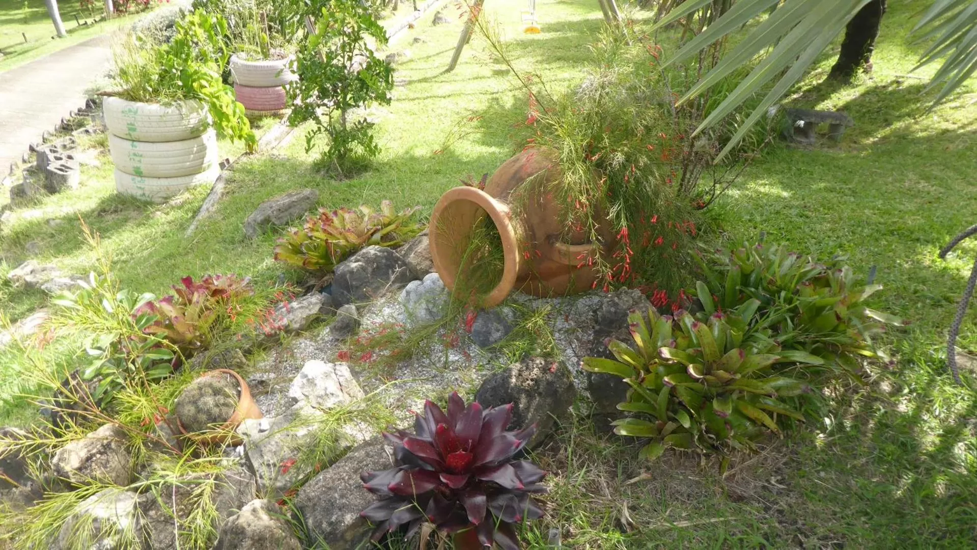 Garden view, Garden in Bed and breakfast Riviere