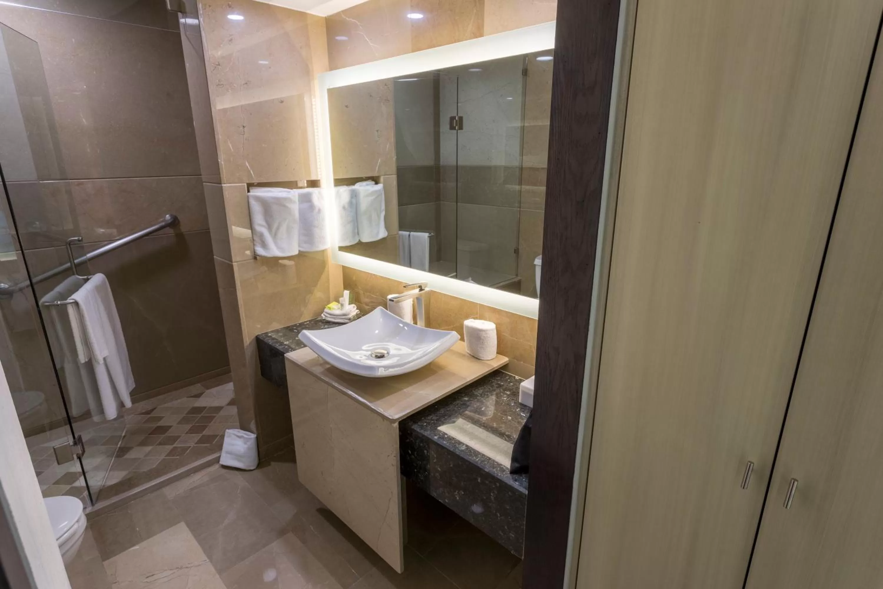 Toilet in Holiday Inn Queretaro Zona Diamante by IHG