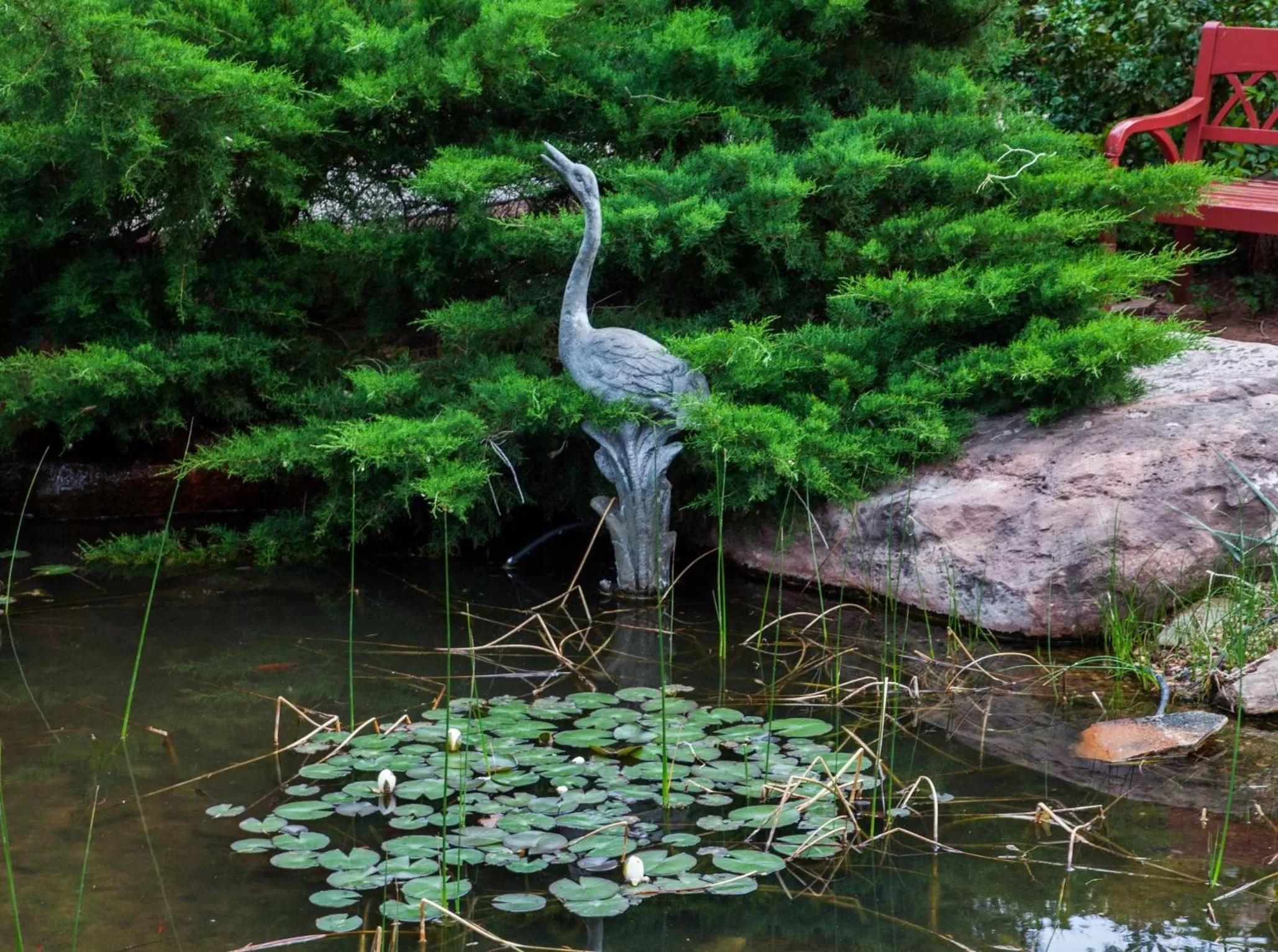 Garden, Other Animals in Flanigan`s Resort and Spa