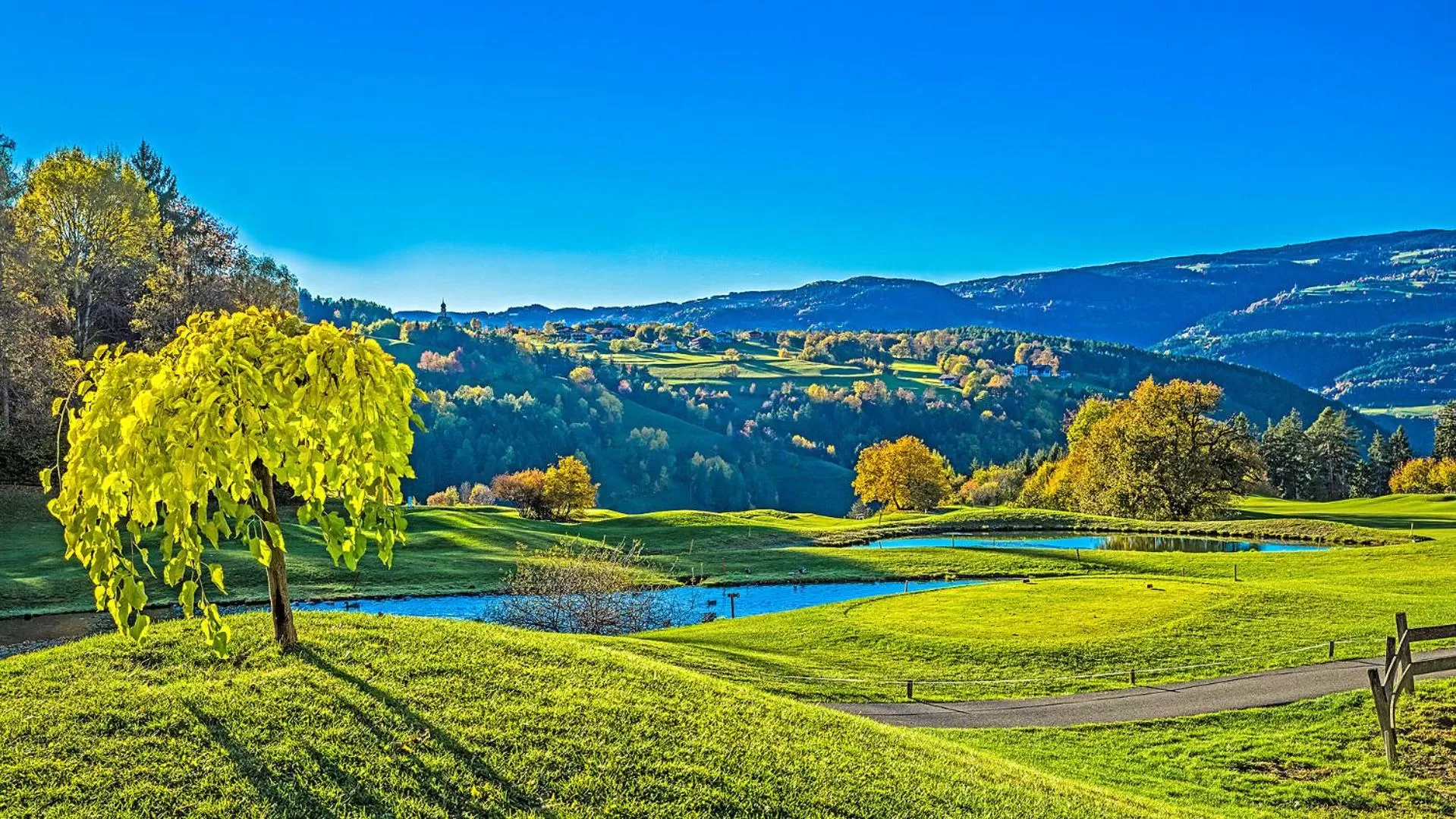 Natural landscape in Activehotel Diana