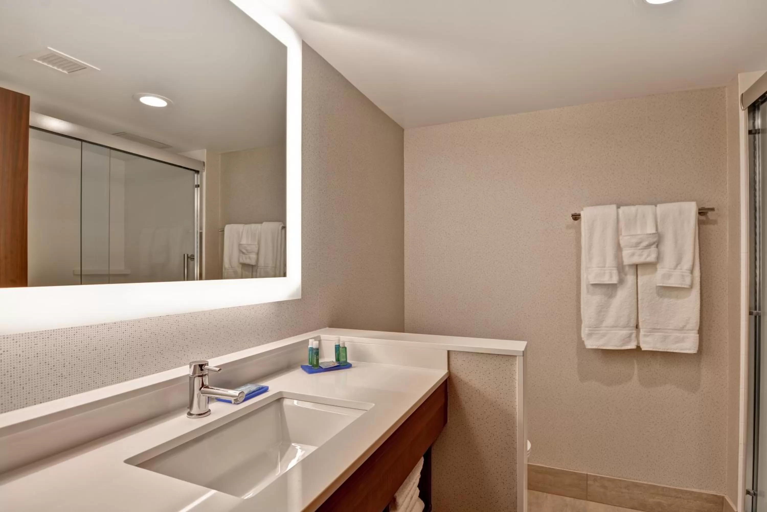 Bathroom in Holiday Inn Express Boston by IHG