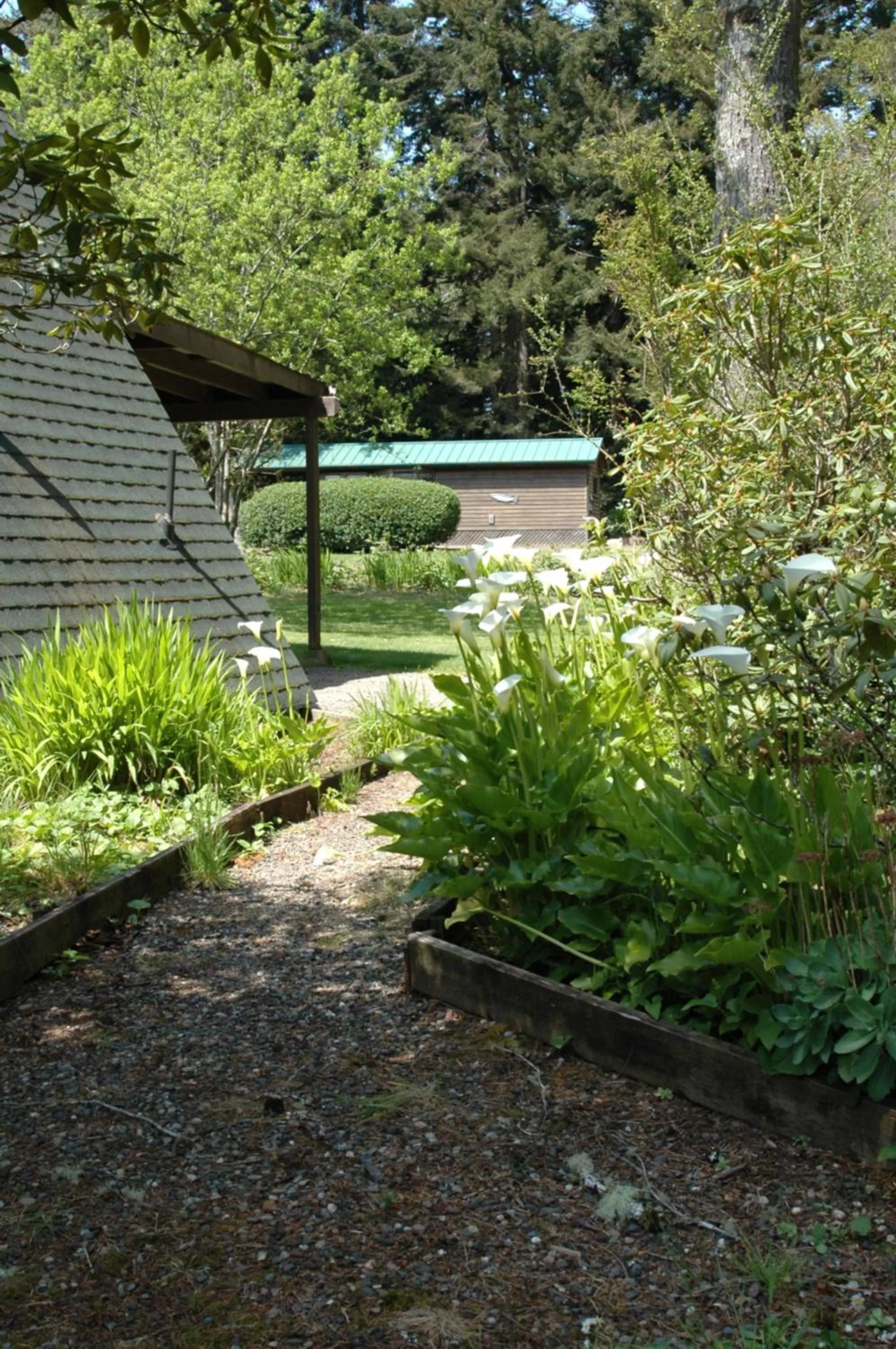 Park Motel and Cabins