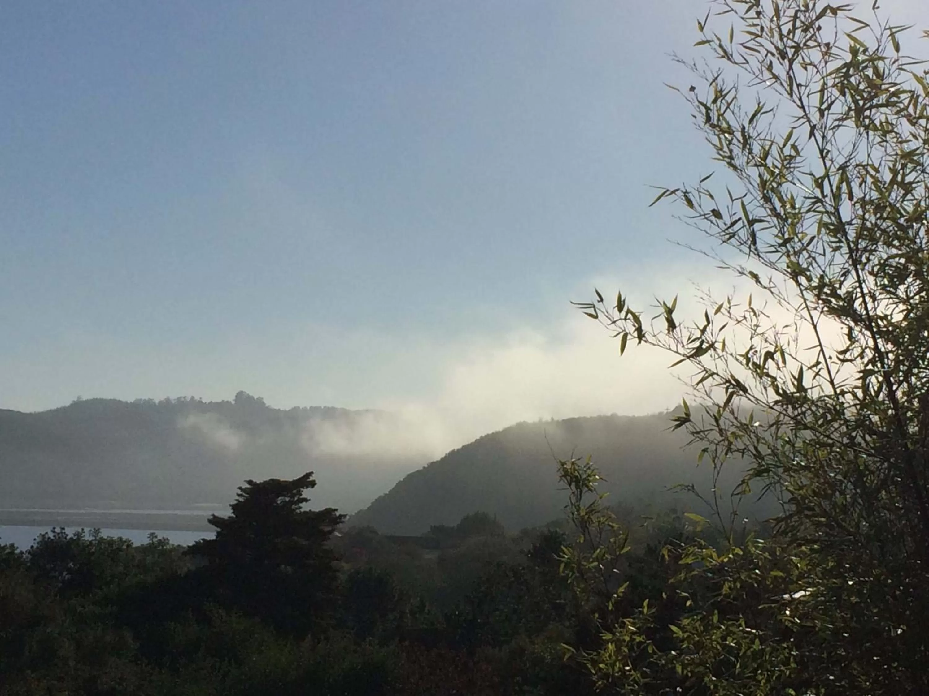 Property building in Fish Eagle Lodge