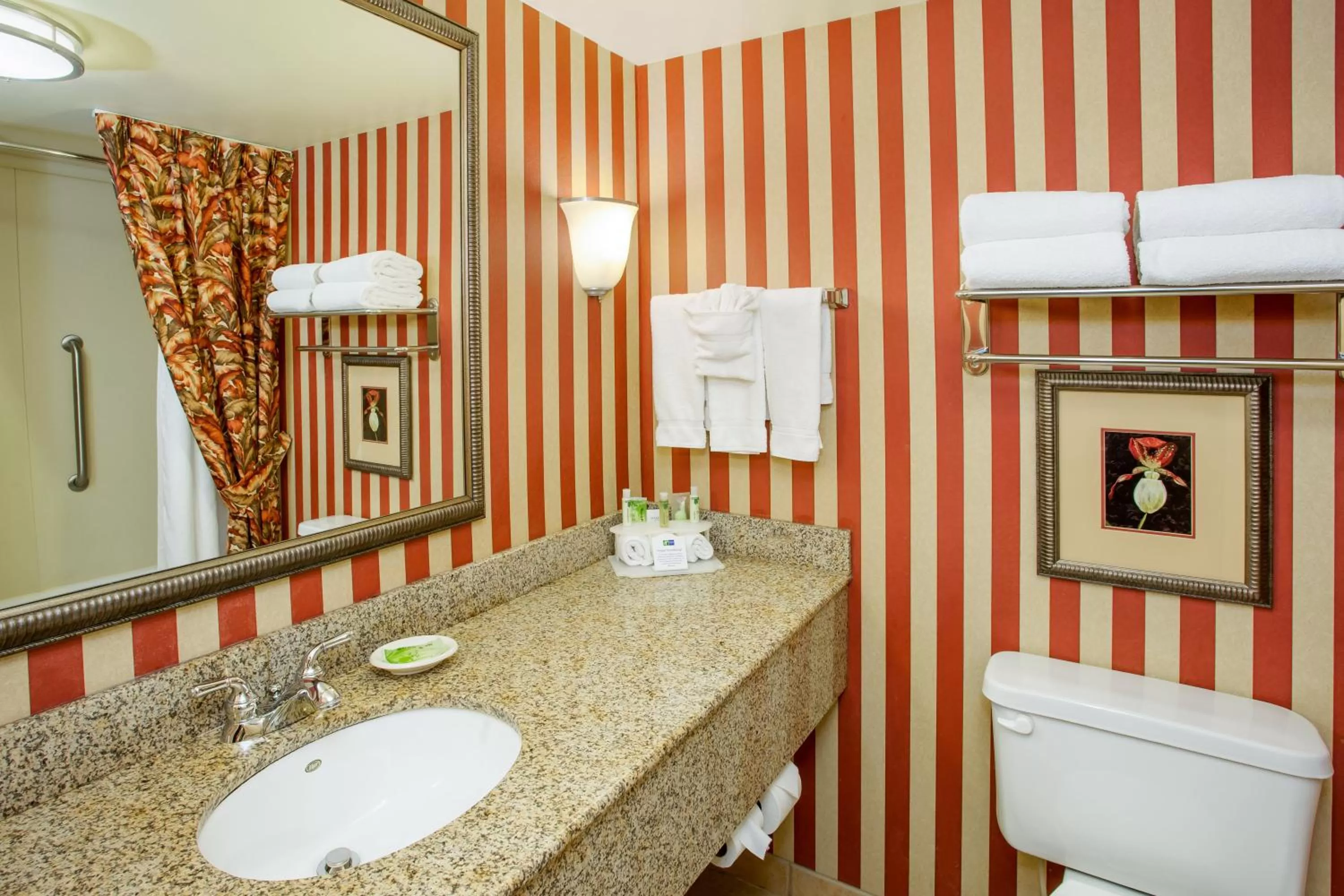 Bathroom in Holiday Inn Express & Suites Bloomington by IHG