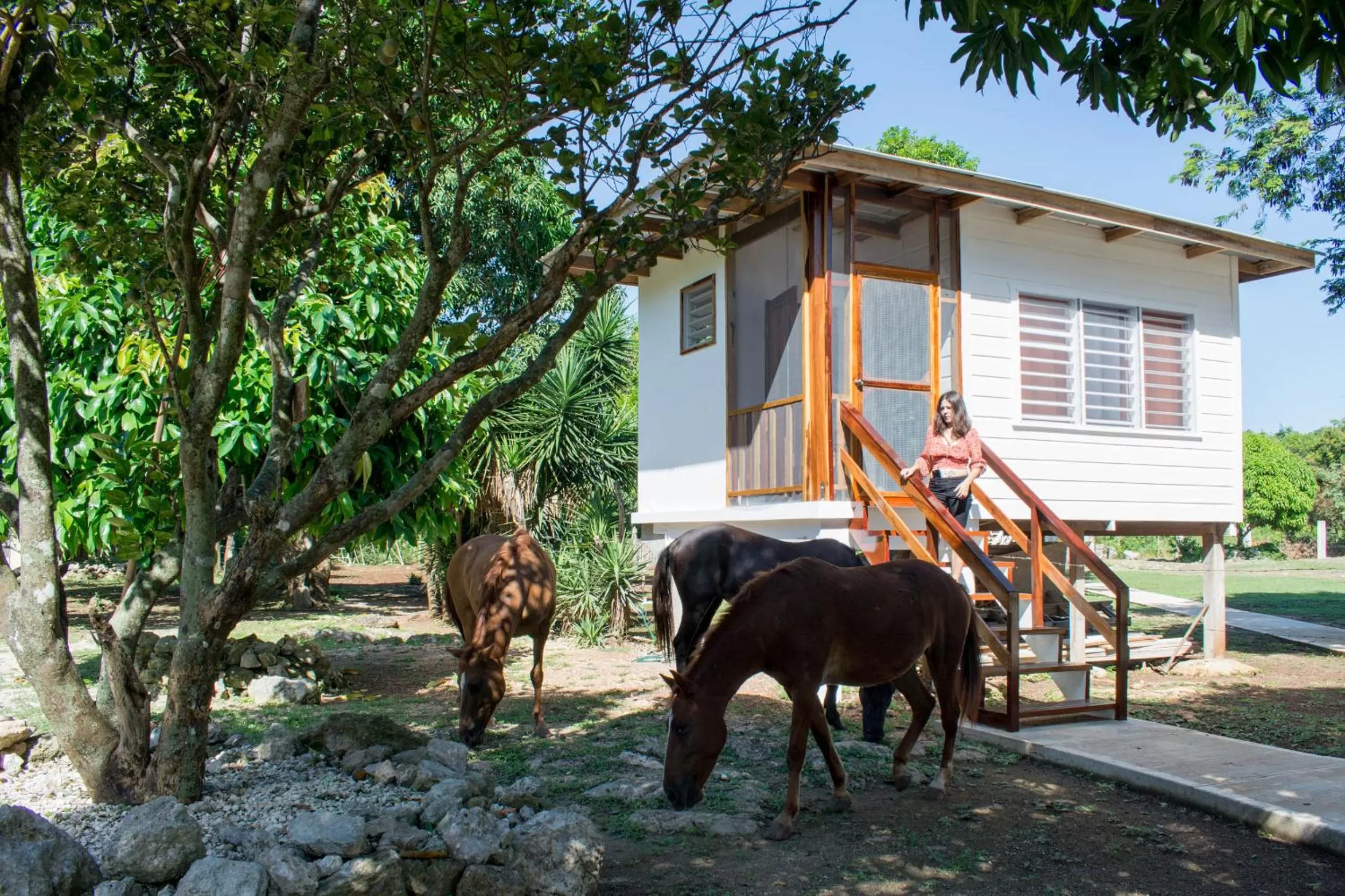 Horse-riding in Horse Cottage